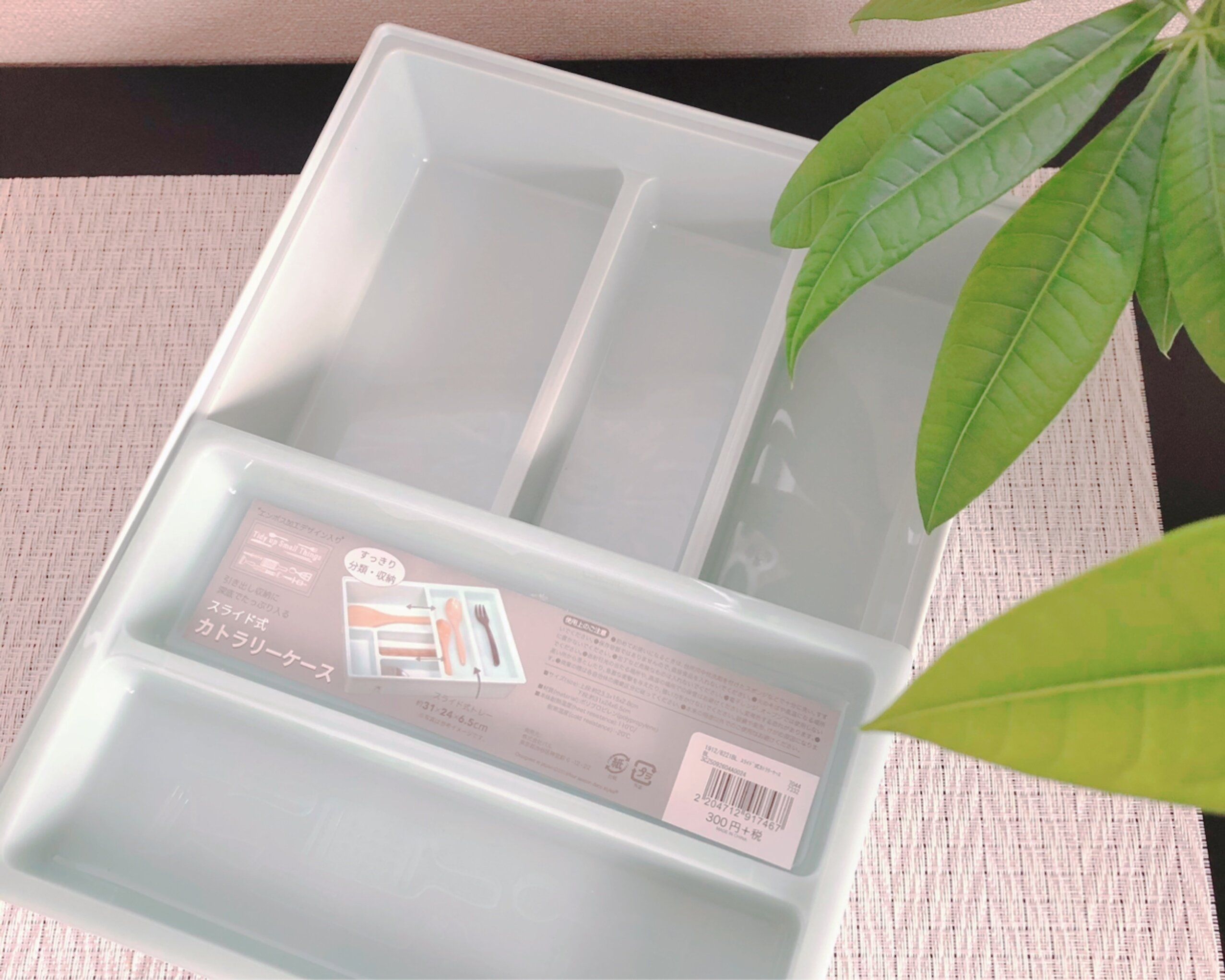 【3COINS】重ねて収納できて便利！スライド式カトラリーケース！