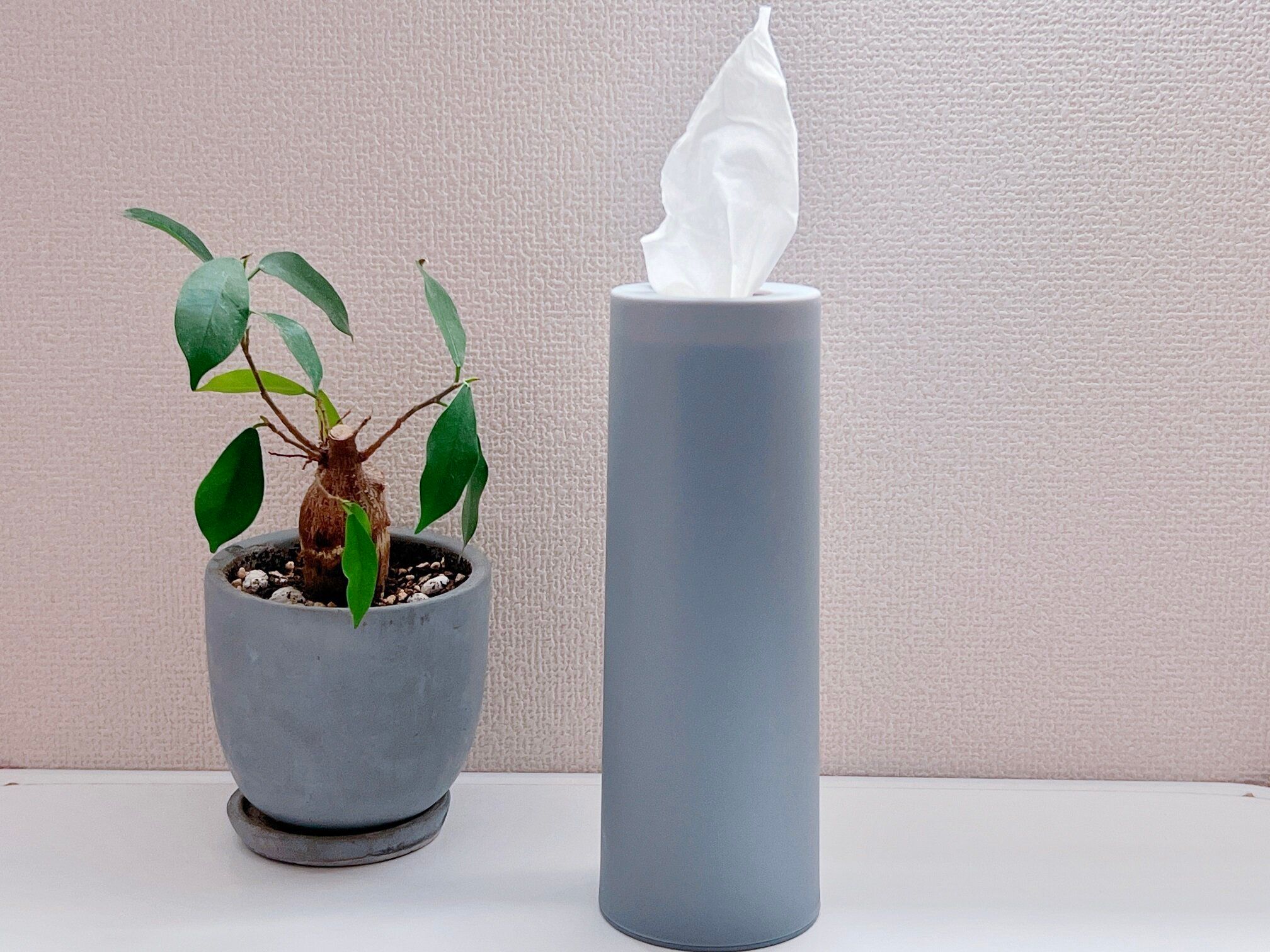 高見え！セリアの「ティシュー 詰め替えボトル」