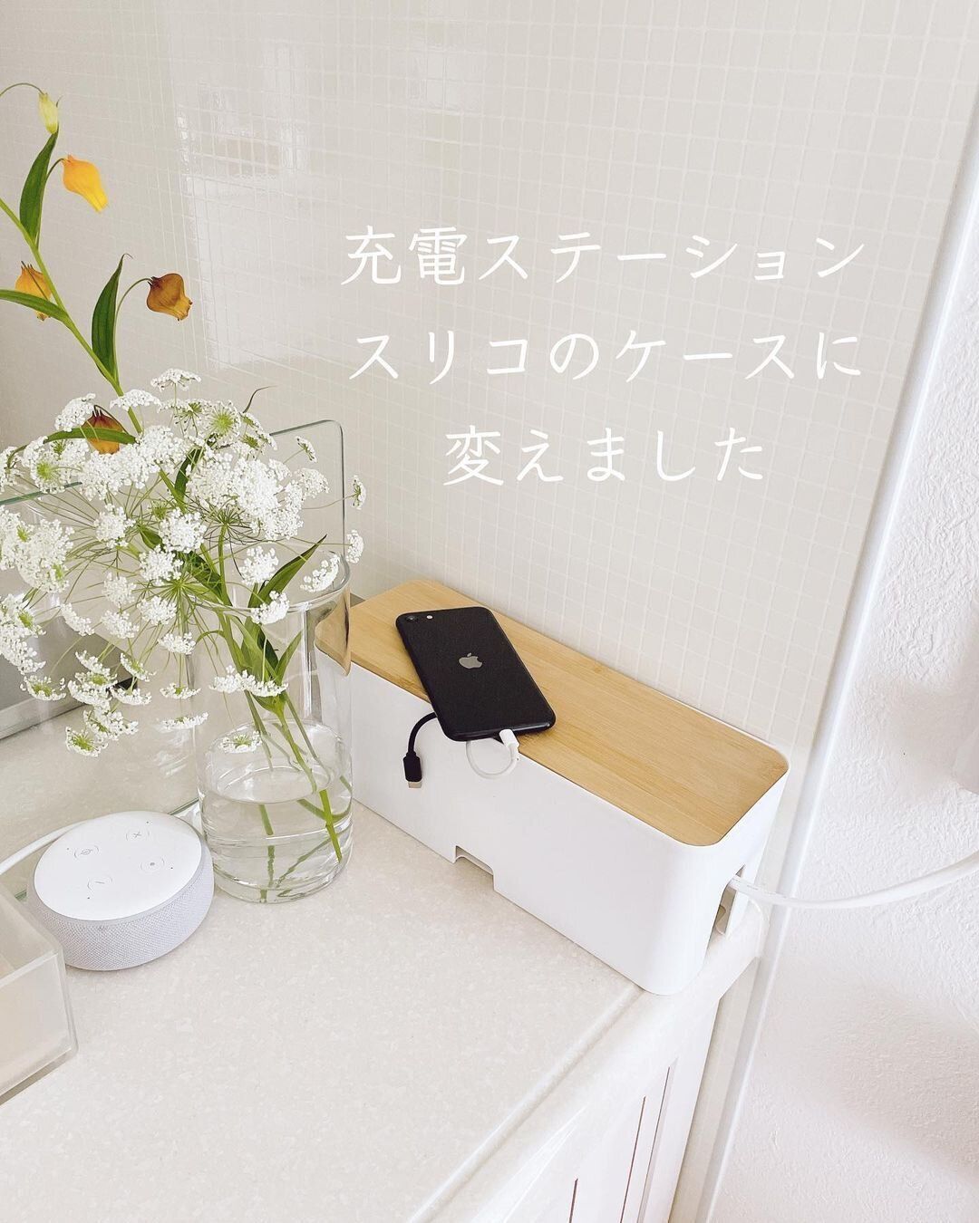 棚からどんどん消えている！【3COINS】「550円でスッキリ！」「とにかくデカいんです」超ヒット商品2選