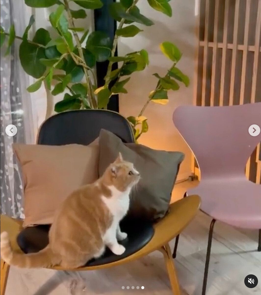 え、無印ってこんな安かった？【無印良品】高コスパアイテム4選