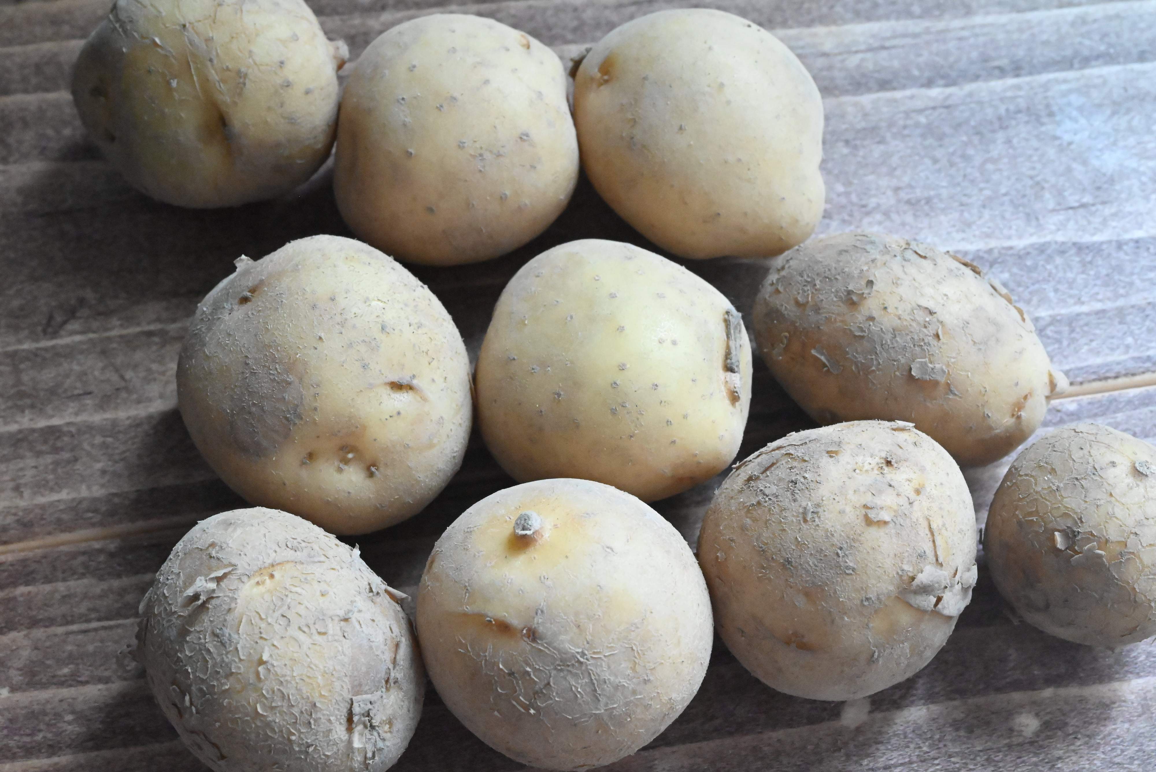 小さめ「新じゃが」は包丁要らず！メイン材料「小さめ新じゃが」だけ！簡単＆絶品レシピ2選