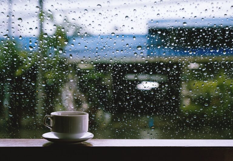 折り畳み傘は運気が下がる!?梅雨どきの運気逆転風水【Dr.コパの風水解説】
