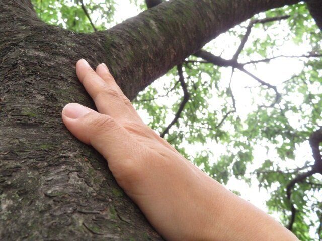 オートマチックな日々で脳がサビついていませんか？手軽に鍛える3つのアクション