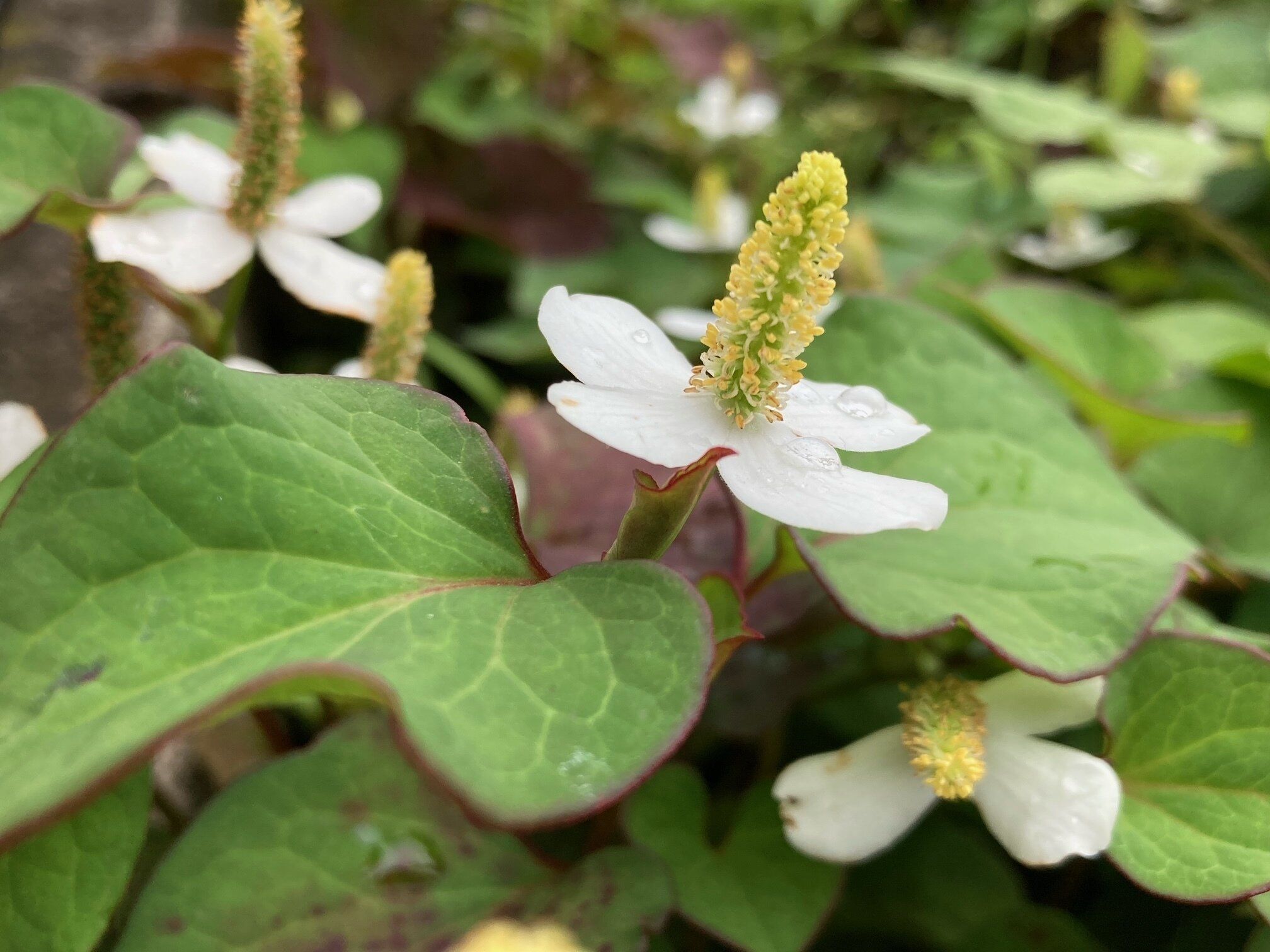 何でもそつなくこなしたい？得手不得手があっても平気ですよ
