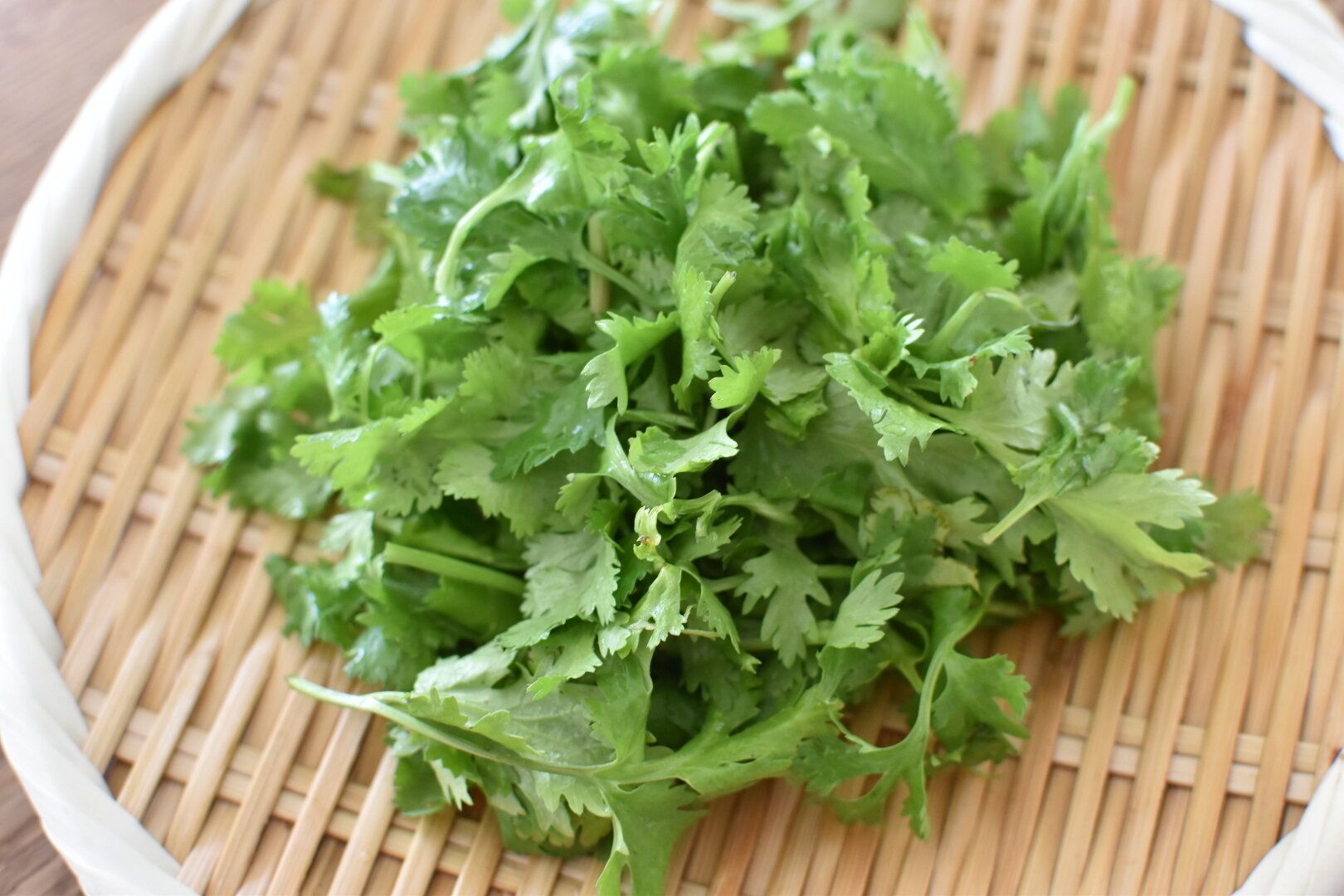 野菜のプロが教える！旬のパクチーのおいしすぎる食べ方