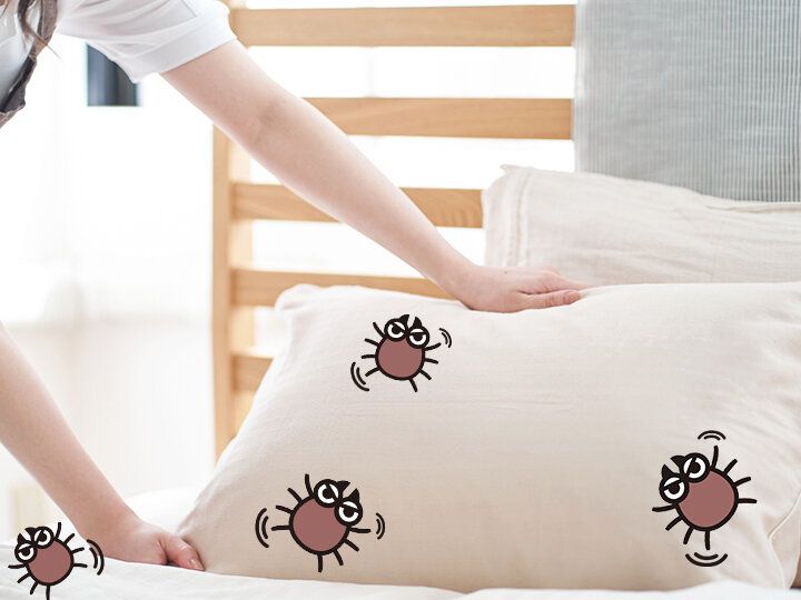 93％の家にダニが…梅雨の時期に「やってはいけない！」ダニを増やしてしまうNG行動とは？