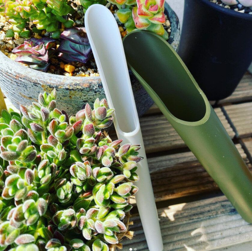 見つけたらラッキー？【セリア】「2件ハシゴしてようやく発見！」「こんなの欲しかった！」注目アイテム2選