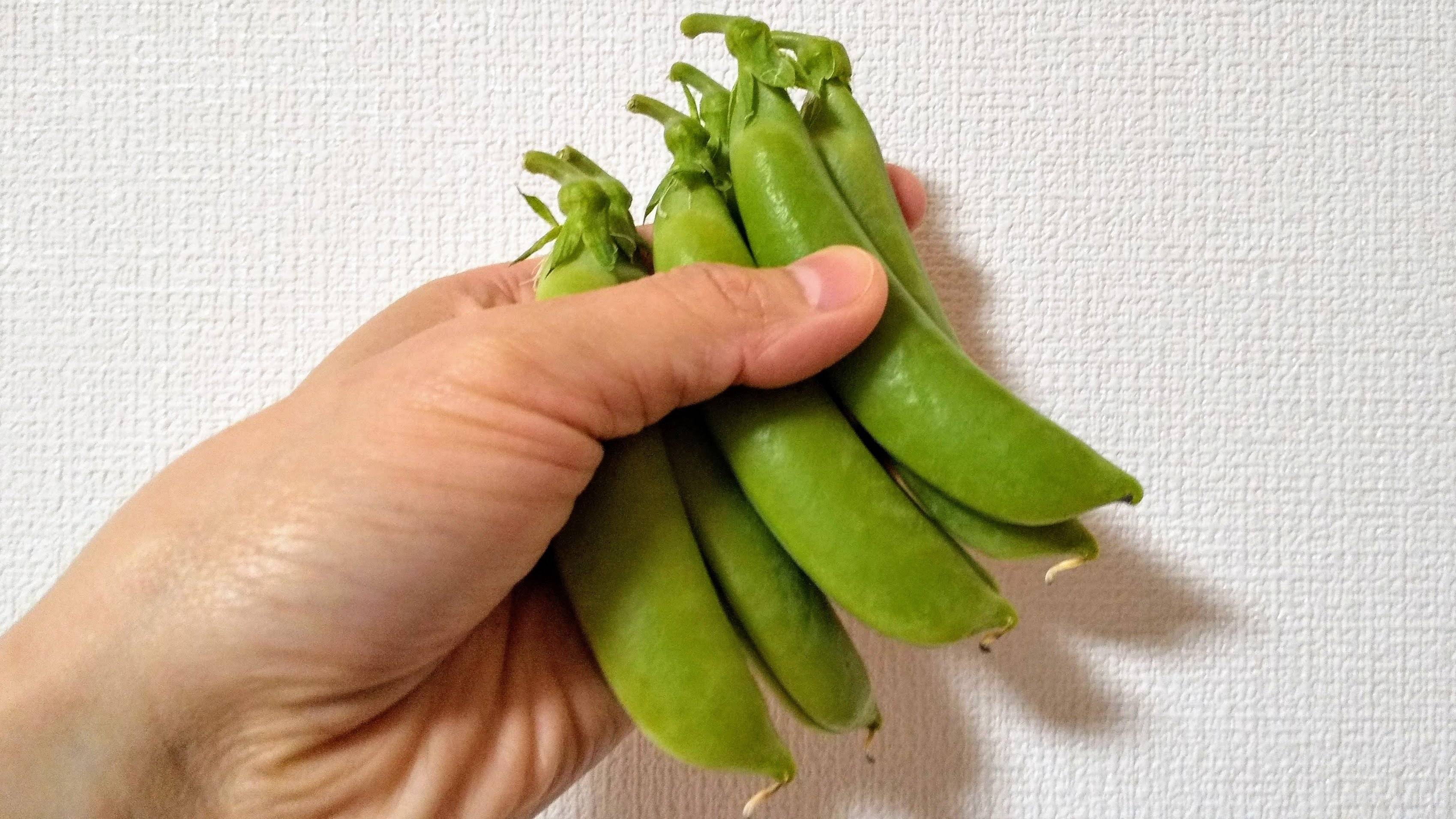 豆のゆで汁は再利用しなきゃもったいない！ゆでた後に活用すべき理由とは？【レシピあり】