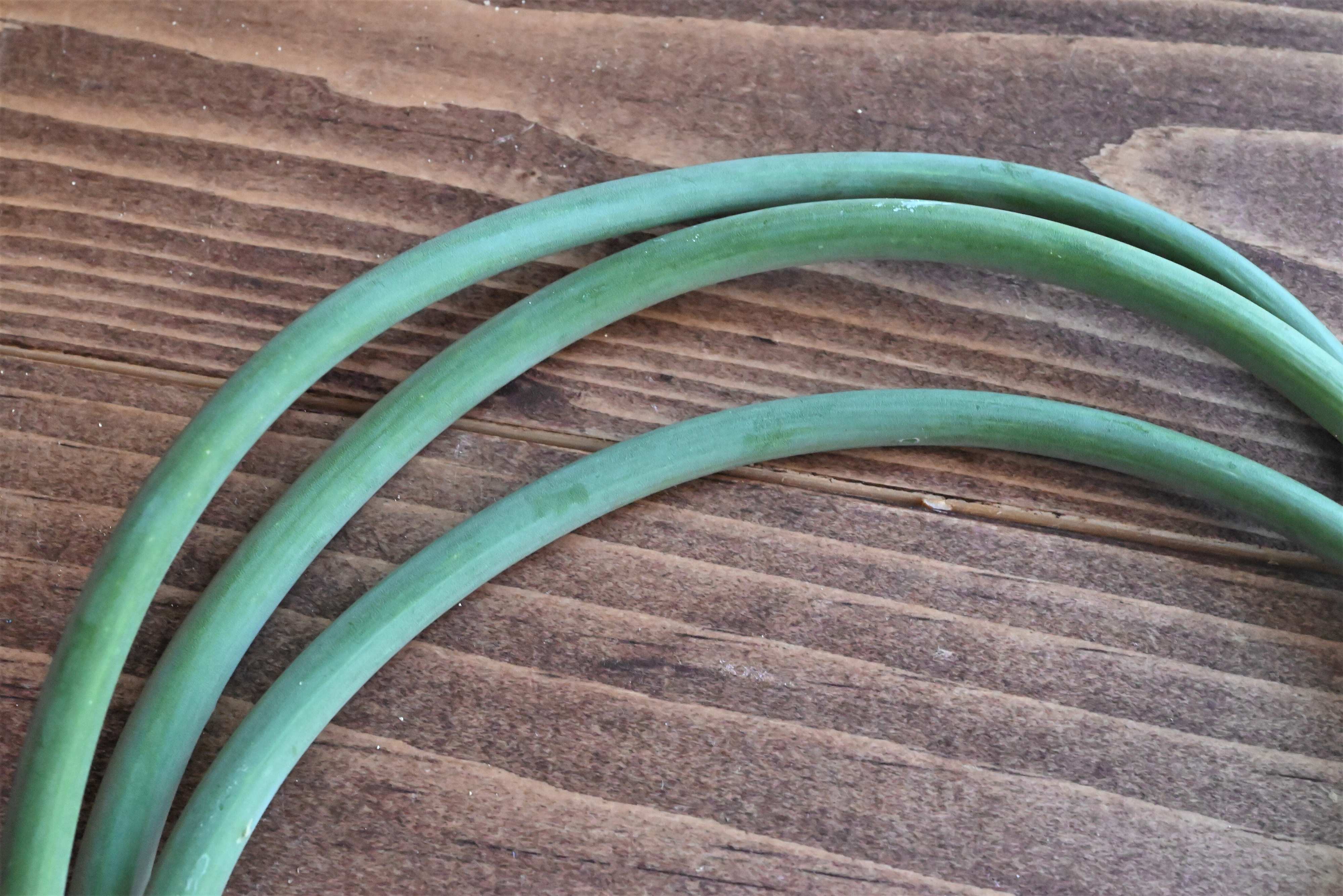 実は超便利食材！「にんにくの芽」があれば簡単に絶品料理が作れる！にんにくの芽レシピ2選