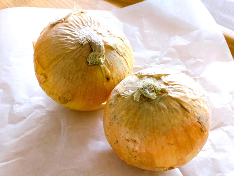 こうやって保存すればもう「玉ねぎ」は腐らせない！