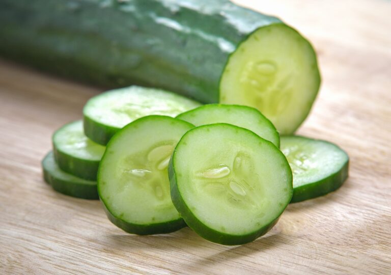 【野菜のプロ監修】「きゅうり」の保存方法は？正しい方法を知りおいしく使い切ろう！