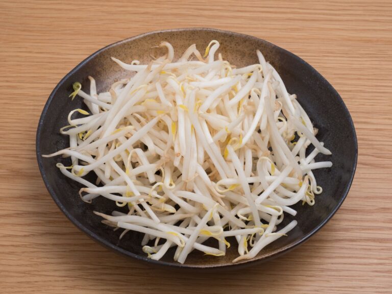 【野菜のプロ監修】「もやし」の保存方法は？正しい方法を知りおいしく使い切ろう！