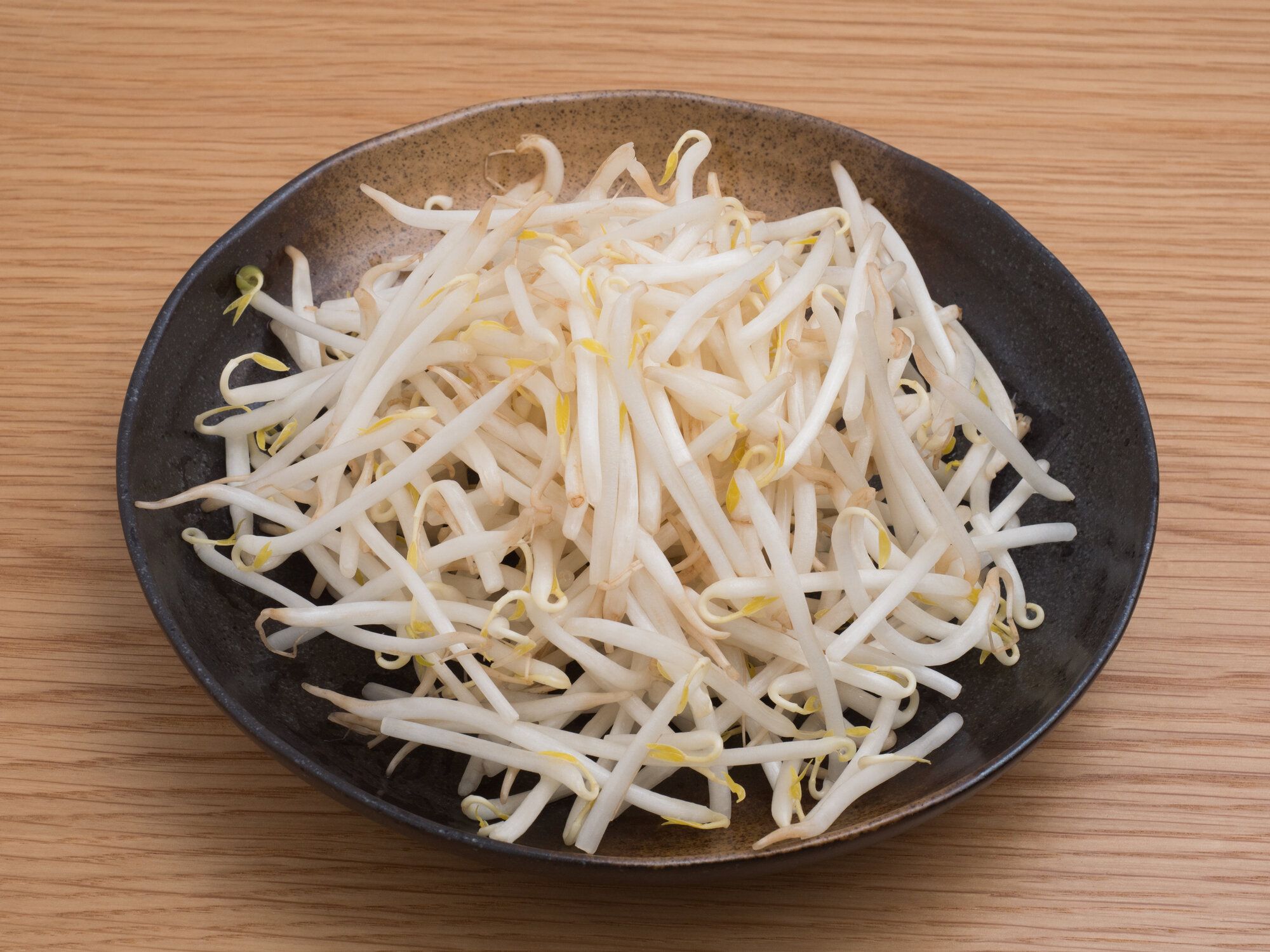 【野菜のプロ監修】「もやし」の保存方法は？正しい方法を知りおいしく使い切ろう！