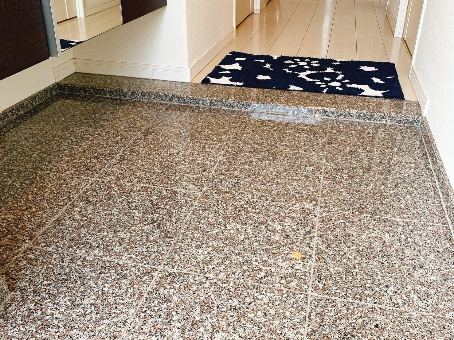 水を使わず「マンションの玄関掃除」を行う方法｜重曹や電解水を使うやり方なども紹介