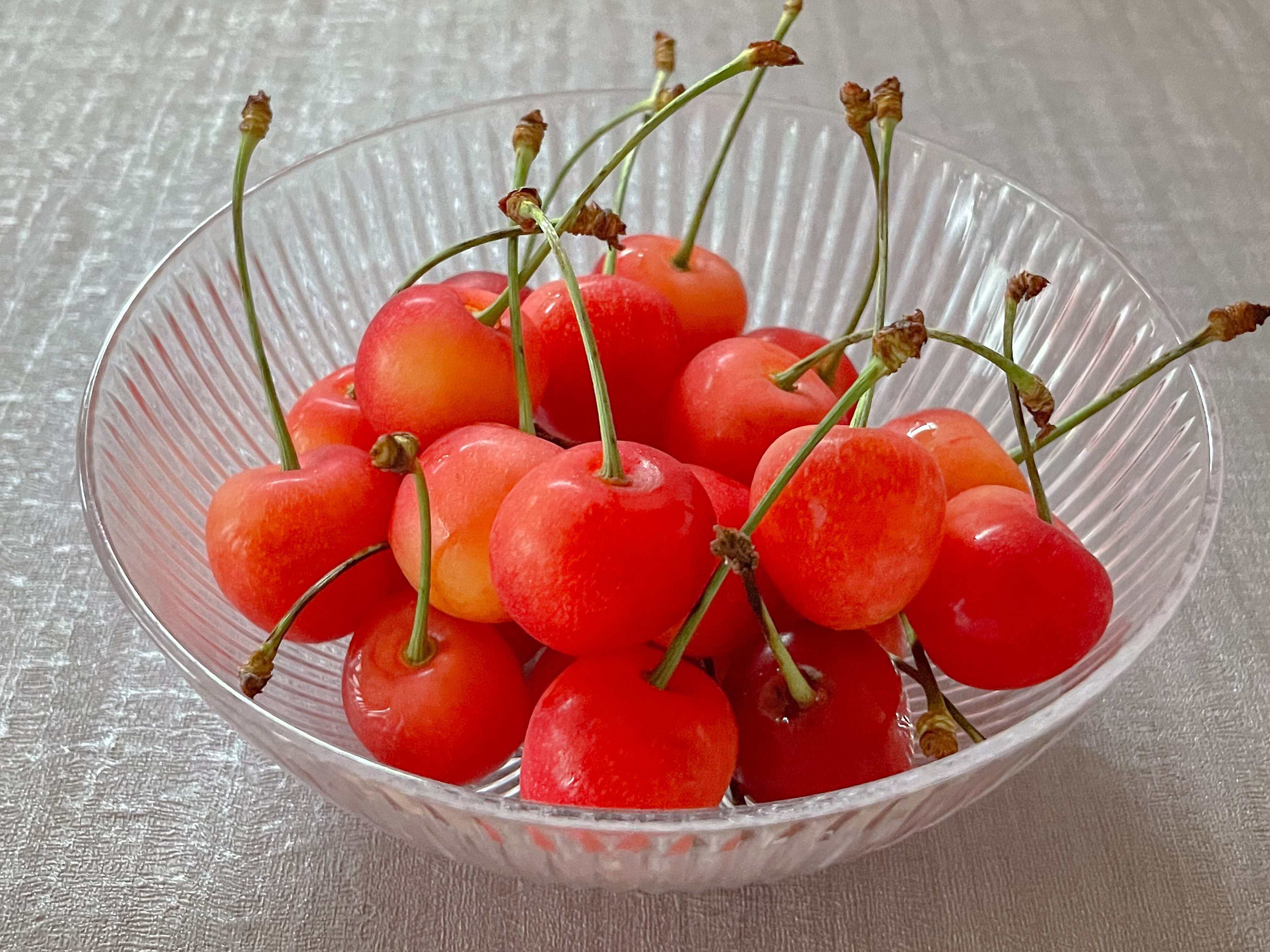 フルーツのプロが教える！さくらんぼの保存にはキッチンペーパーを使うのが正解！