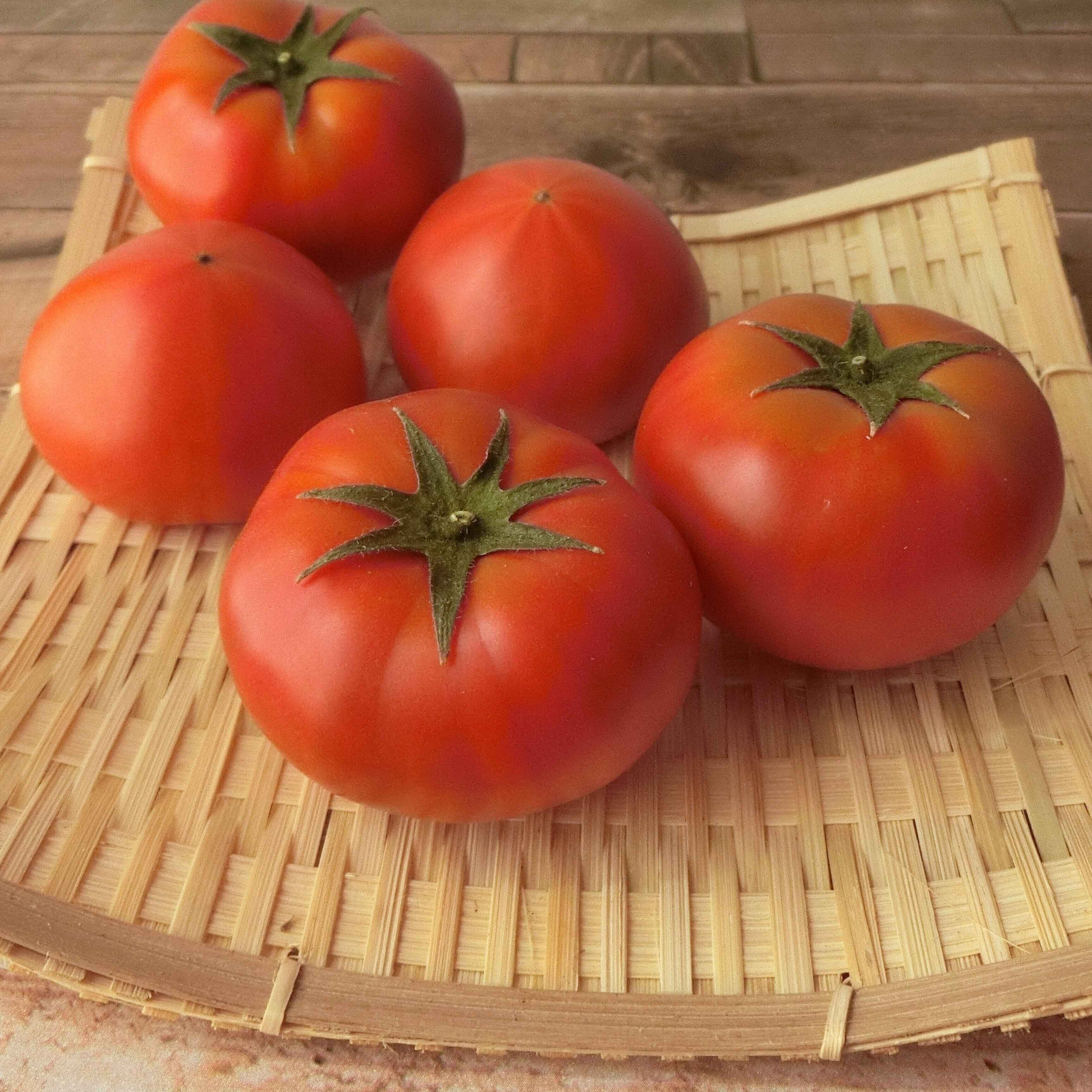 材料3つ！味つけ簡単「トマトのシソめんつゆ漬け」はパクパクとまらないさっぱりおかず