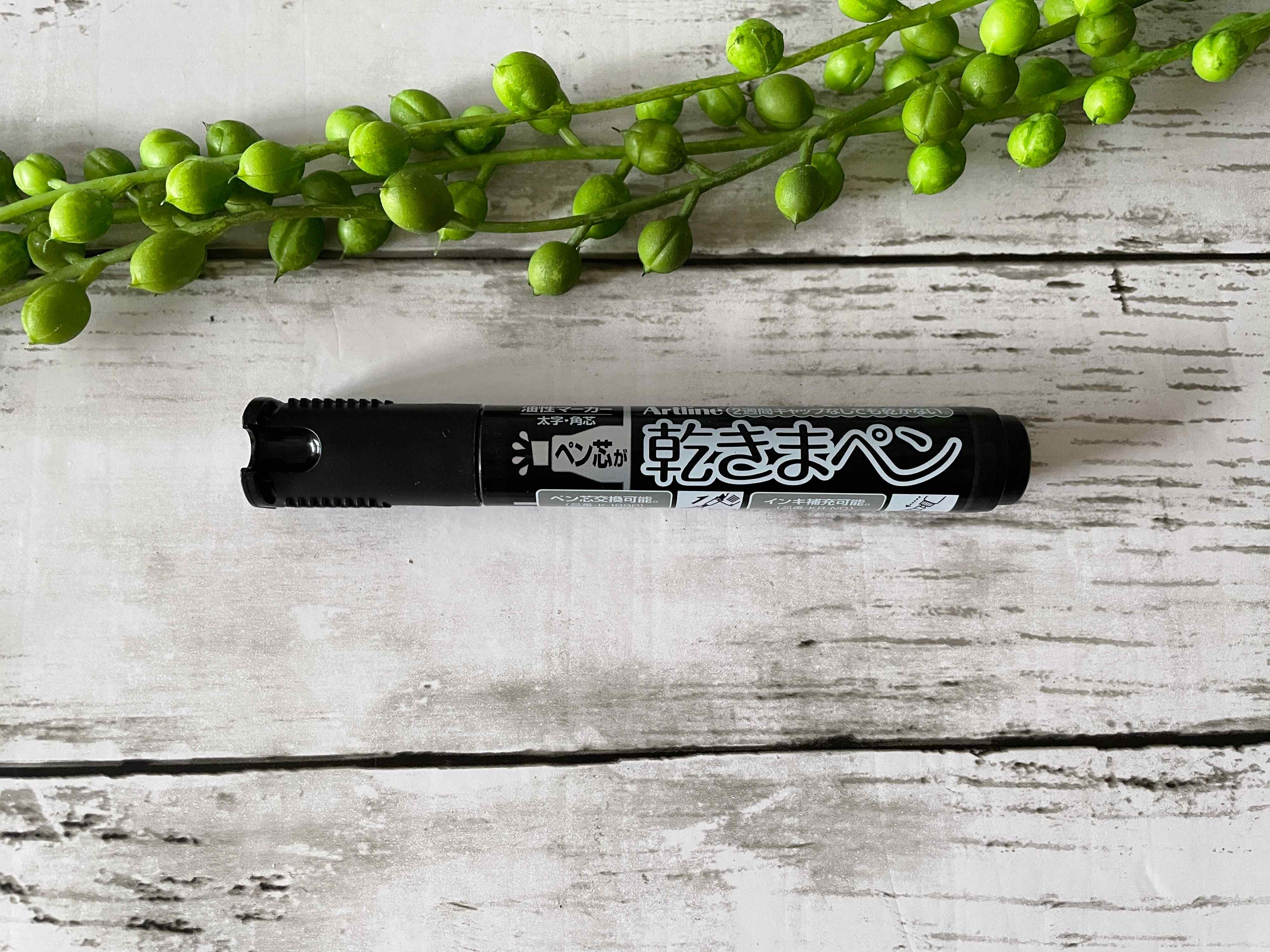 【ワッツ】驚き！キャップをし忘れて2週間経っても書けるペン！