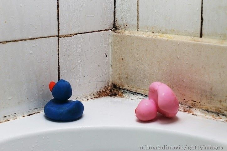 あんなところにも…風呂カビ・水カビ、簡単撃退法5