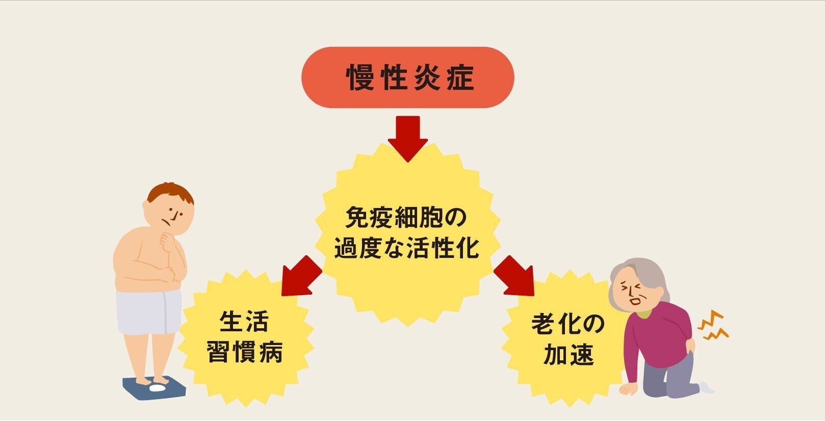 「第6回 伊藤園健康フォーラム」 老化加速や生活習慣病のもと「慢性炎症」　健康な体をキープする食＆お茶習慣で慢性炎症を防ぐ