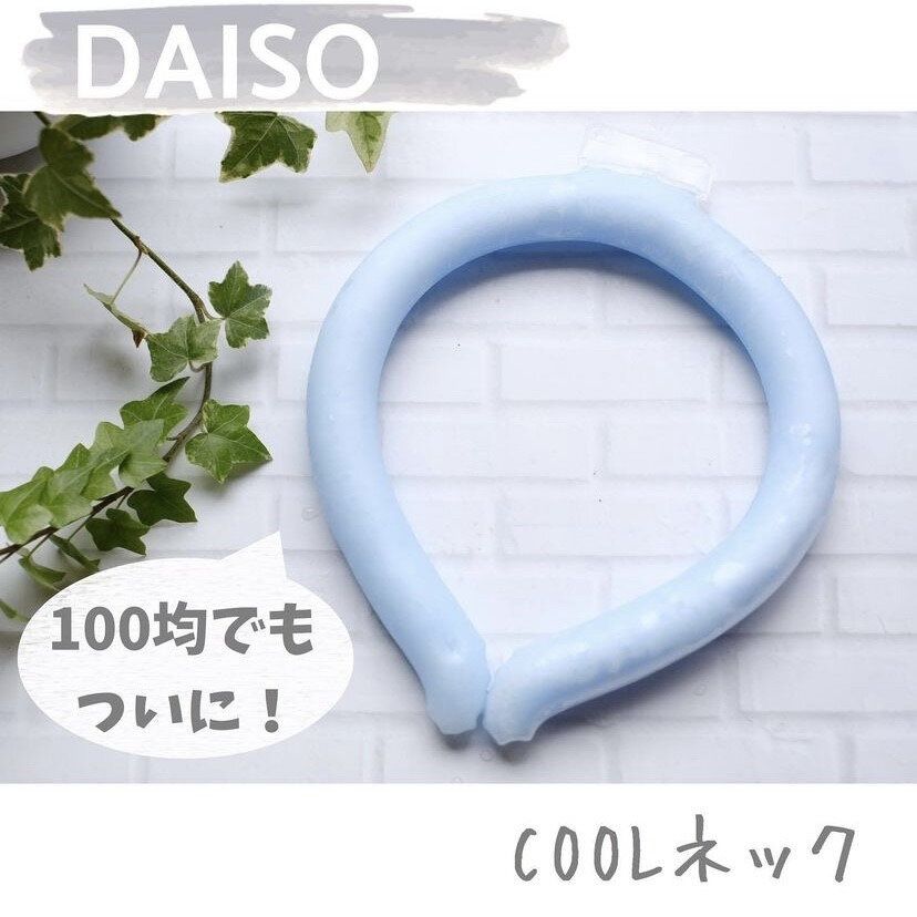 今買うべき！【ダイソー】「ダイソーにもついに出た」「ダイソーでしか買えない！」大バズりアイテム4選