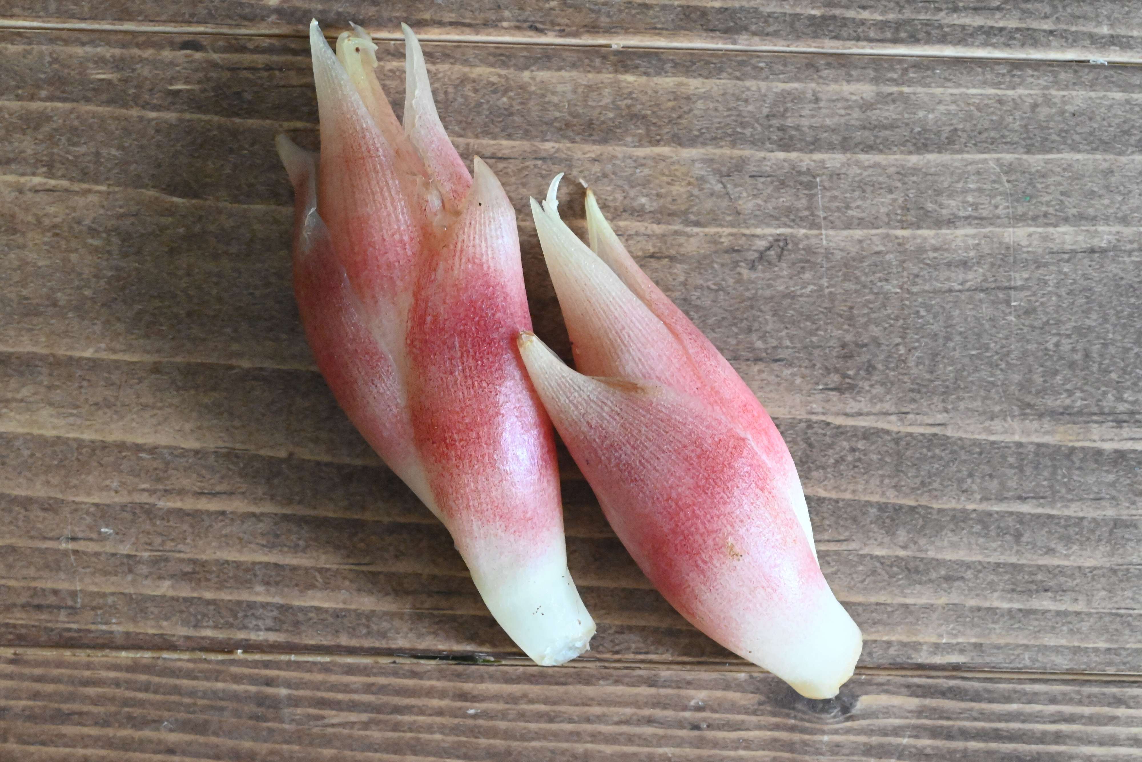 薬味だけじゃない！みょうがを主役に格上げ！みょうがの簡単レシピ2選