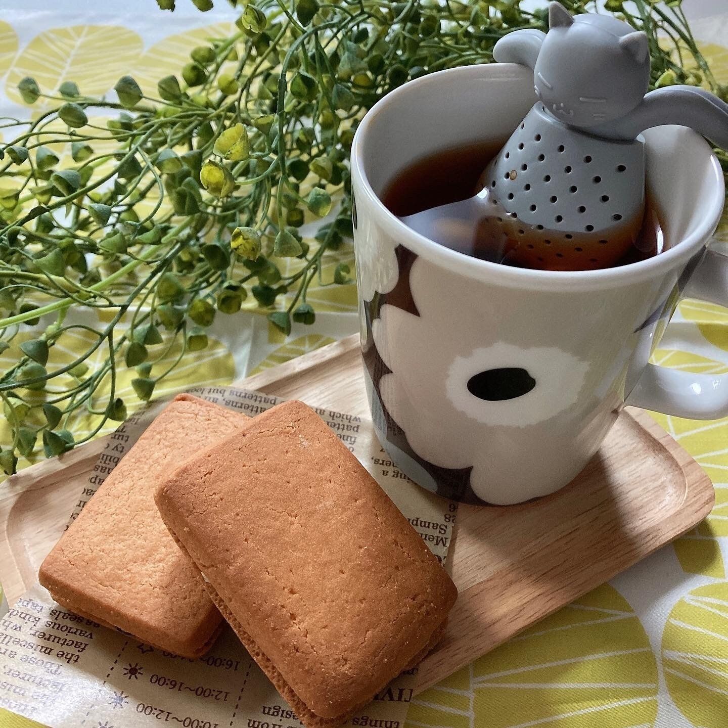 可愛い姿にほっこり！キャンドゥの商品を使って幸せ時間