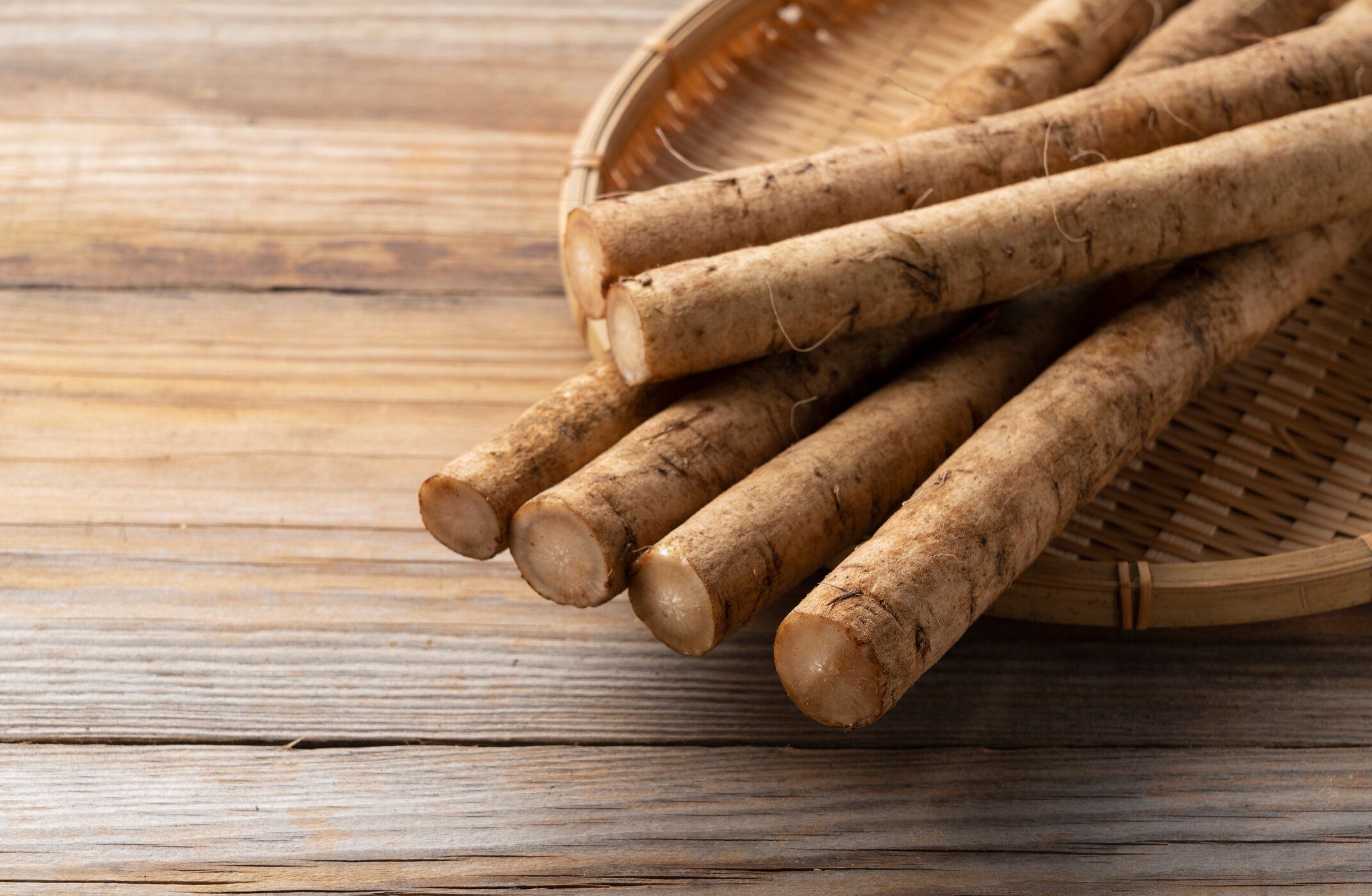 【野菜のプロ監修】「ごぼう」の保存方法は？正しい方法を知りおいしく使い切ろう！