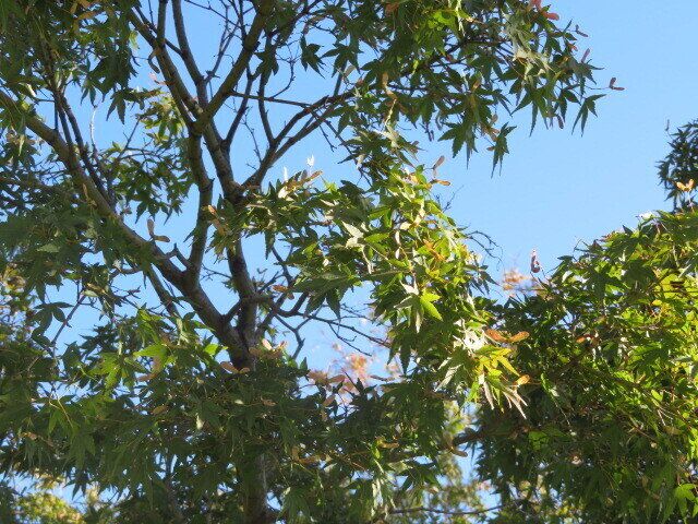 続けて3人のサンキュ！STYLEライターさんに会ってみて感じた心境の変化