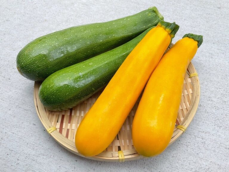 旬の「ズッキーニ」を買ったら絶対やって！管理栄養士が教えるズッキーニのいちばんおいしい食べ方