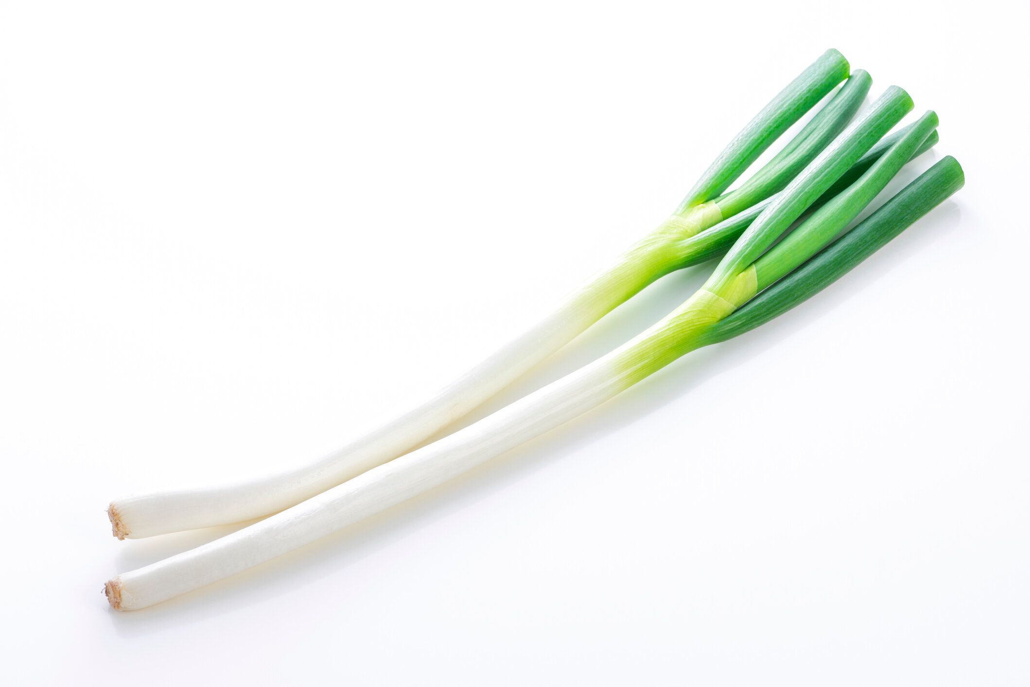 【野菜のプロ監修】「長ネギ」の保存方法は？正しい方法を知りおいしく使い切ろう！