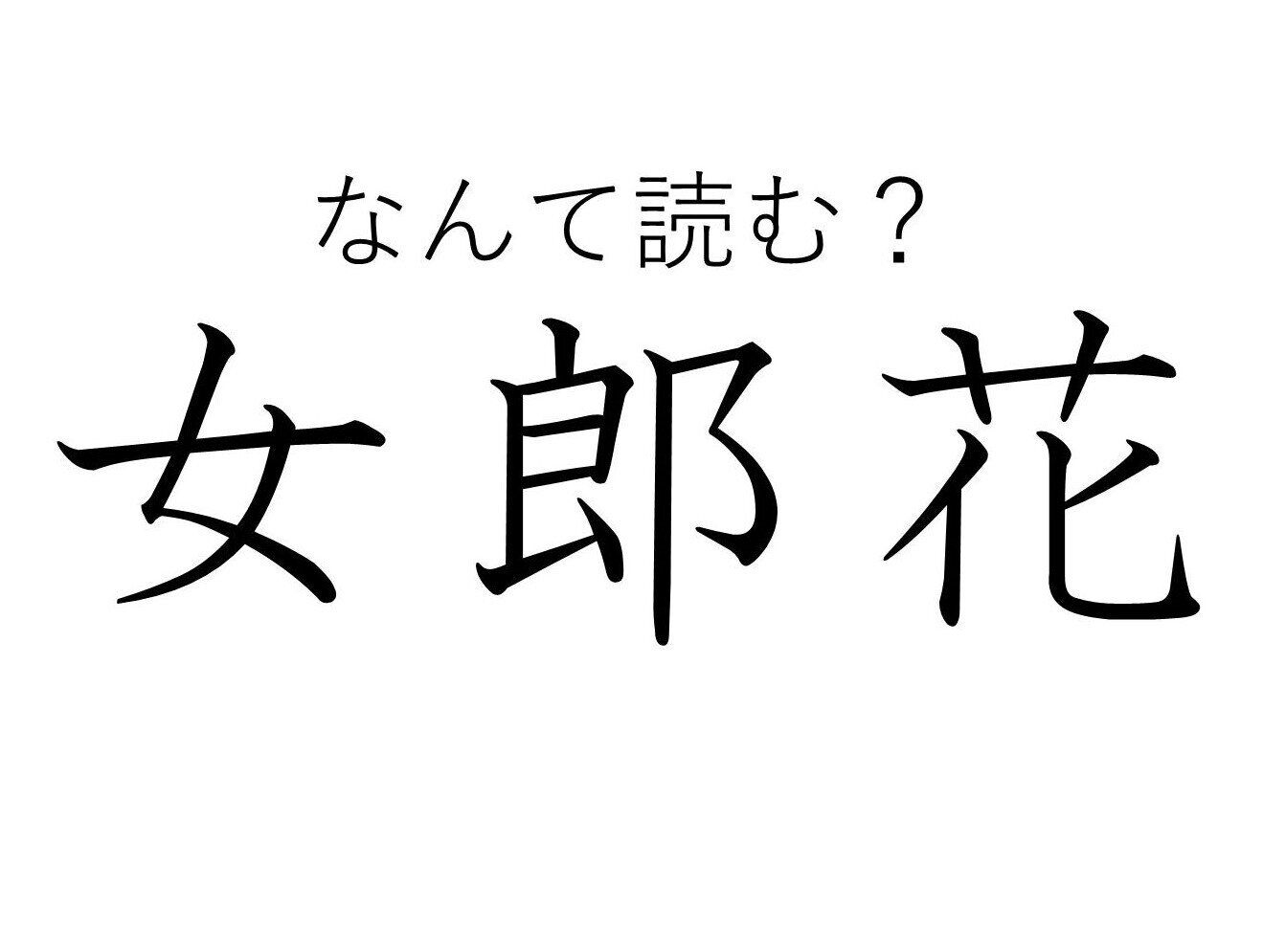 「じょろうばな」ではありません！はなやかな雰囲気の「女郎花」はなんて読む？