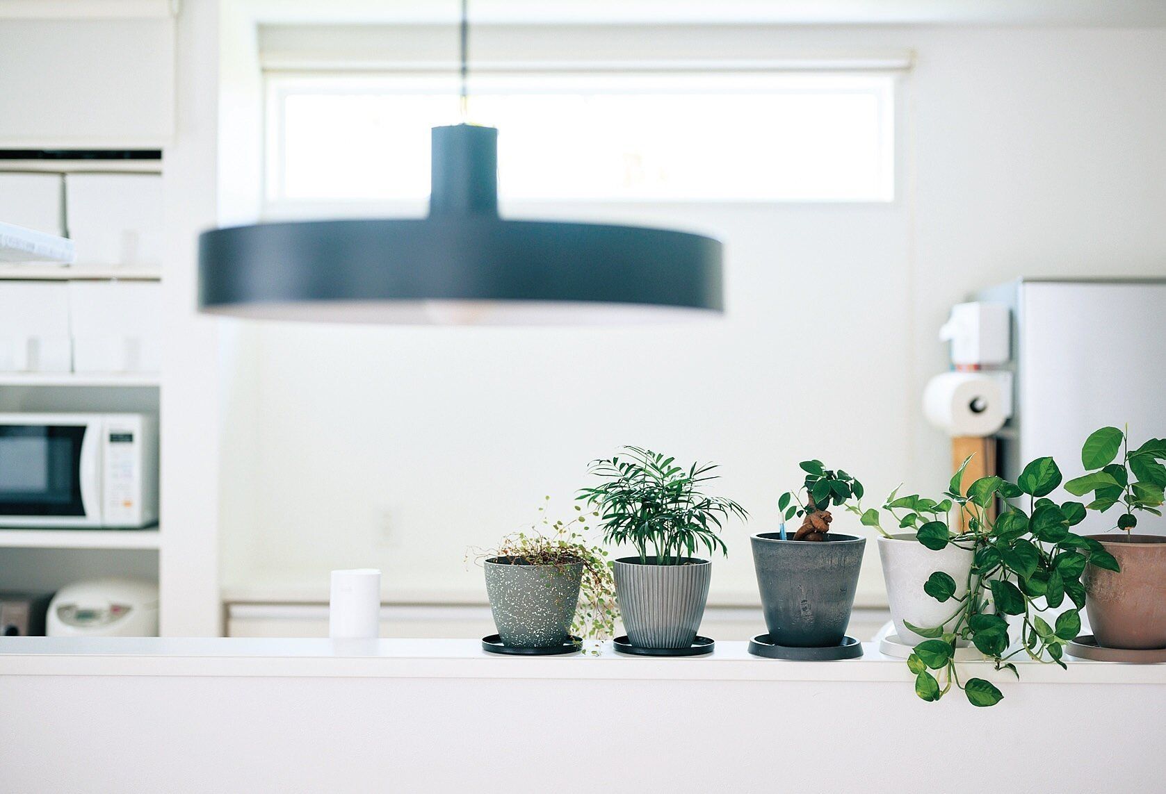 人気Youtuberが伝授！やり方は超ズボラでも結果キレイ！平日はそこら辺にある物で10秒掃除するだけ