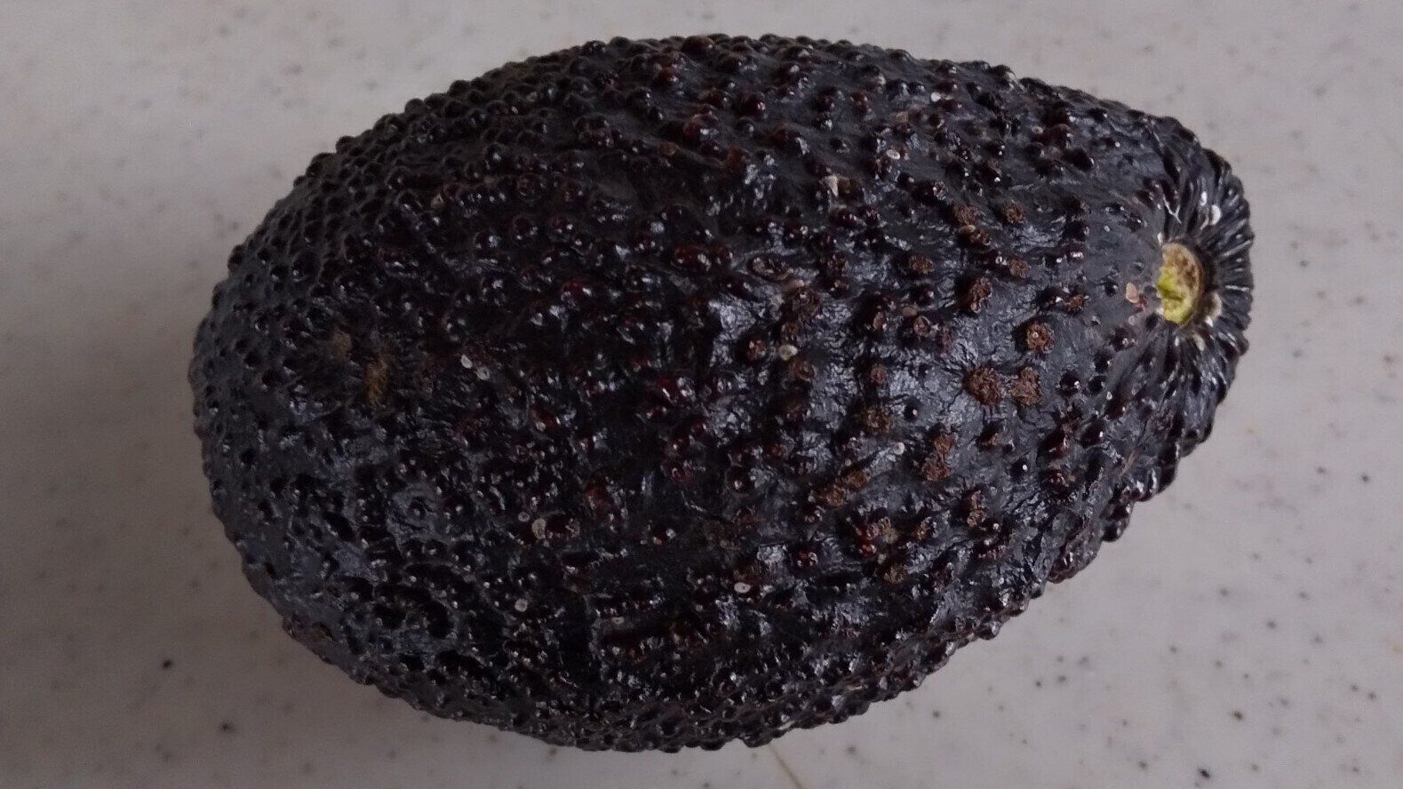 小学1年生でもつくれちゃう！アボカドをお手軽なダイエット向きスイーツへ変身させる方法！