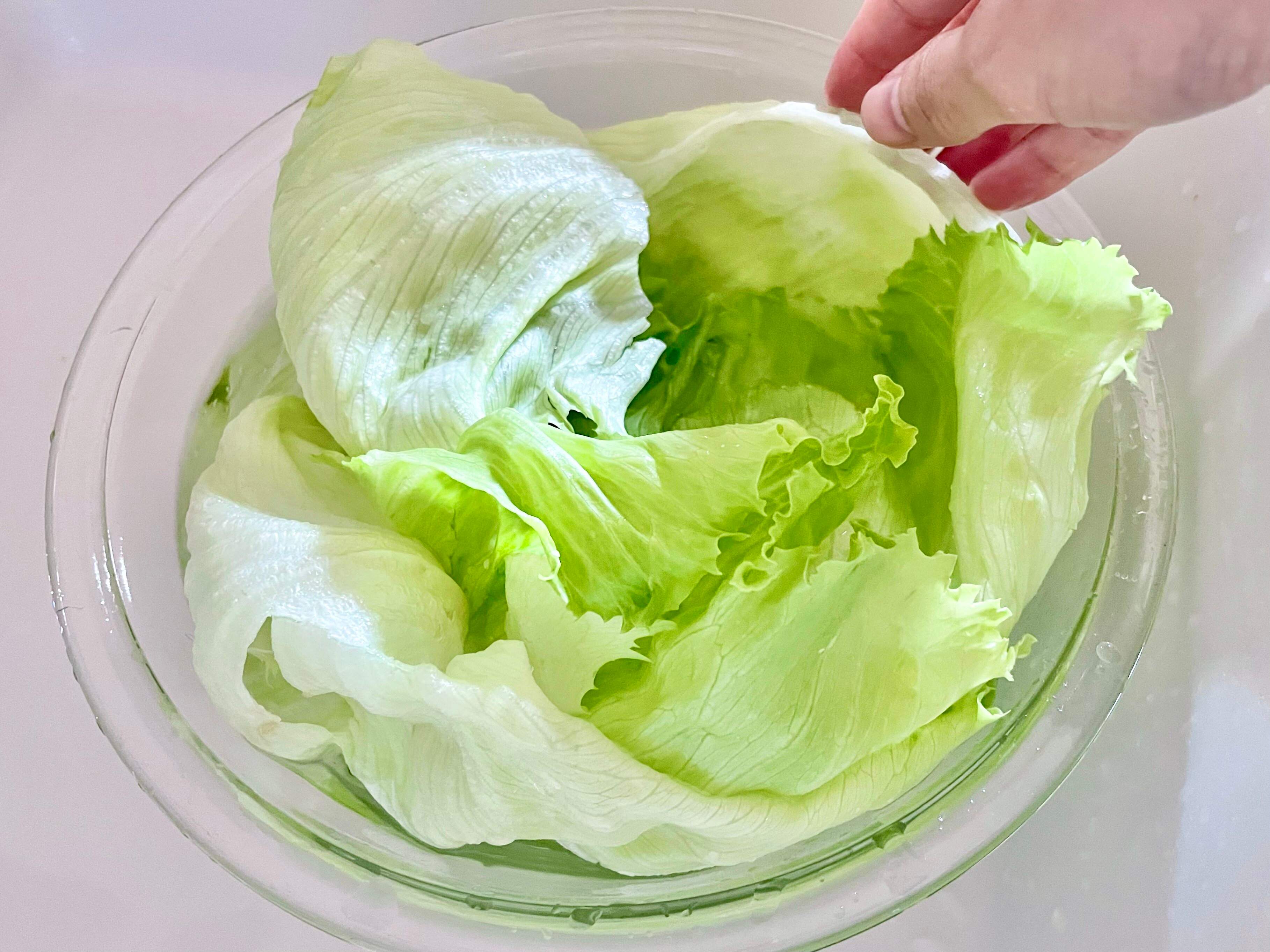 レタスを1週間シャキシャキに保存できるのは洗いかたにコツがあった！