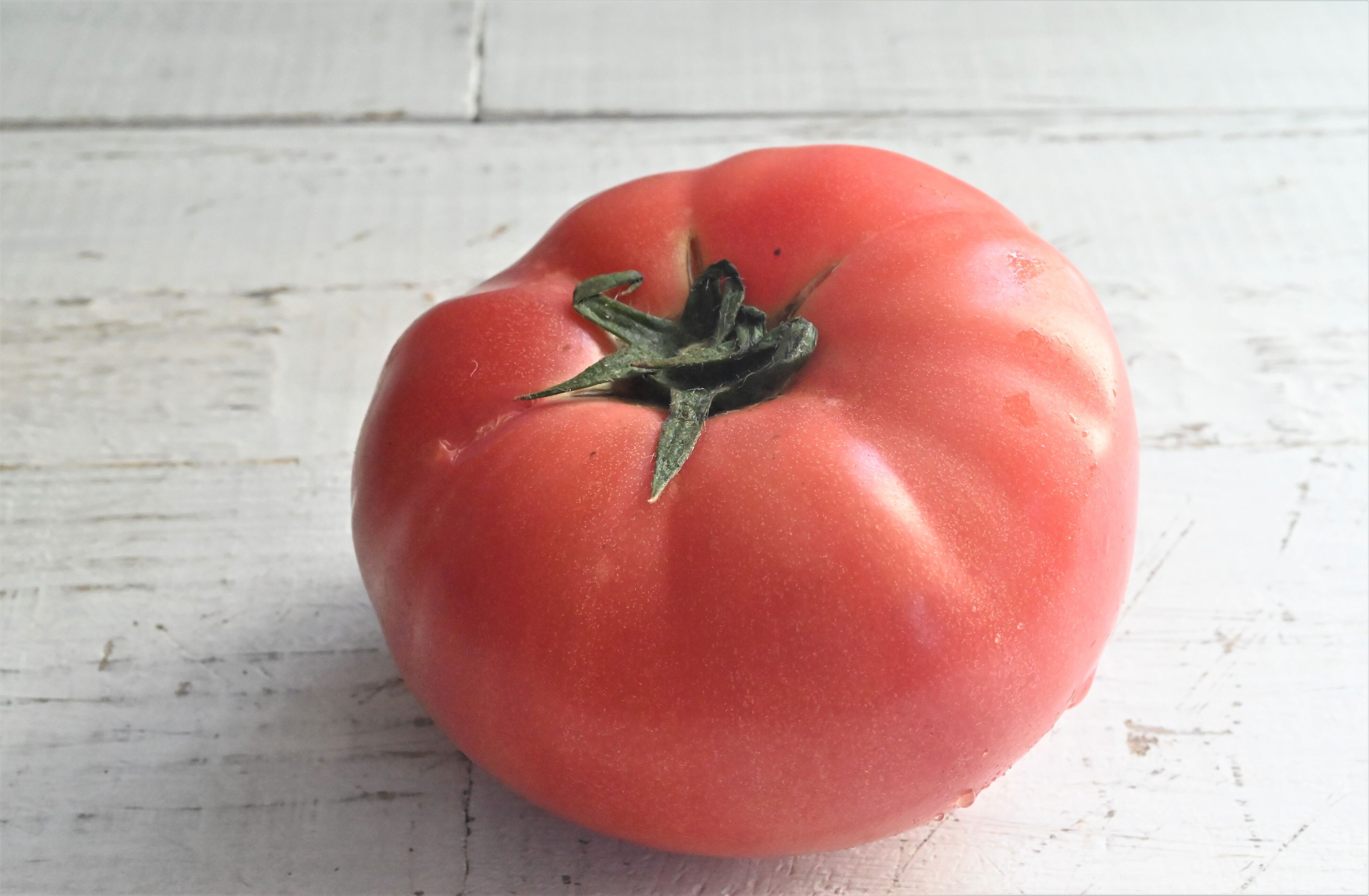 大きいトマト？ミニトマト？同じ材料でも全然違う！4つの材料でつくれる！絶品トマトパスタ2選