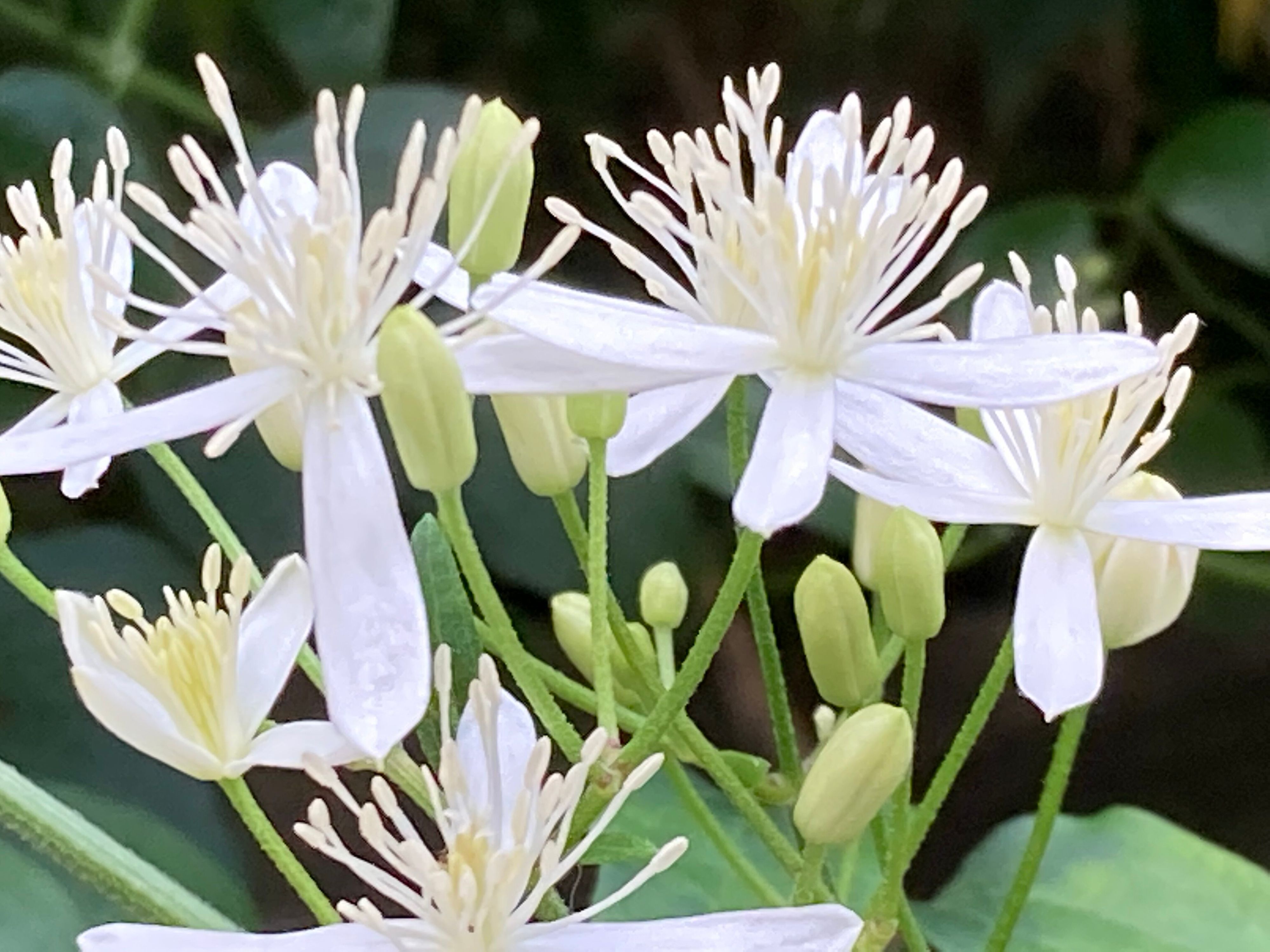 ネガティブになりがちなあなたを応援！ポジティブじゃなくて平気です