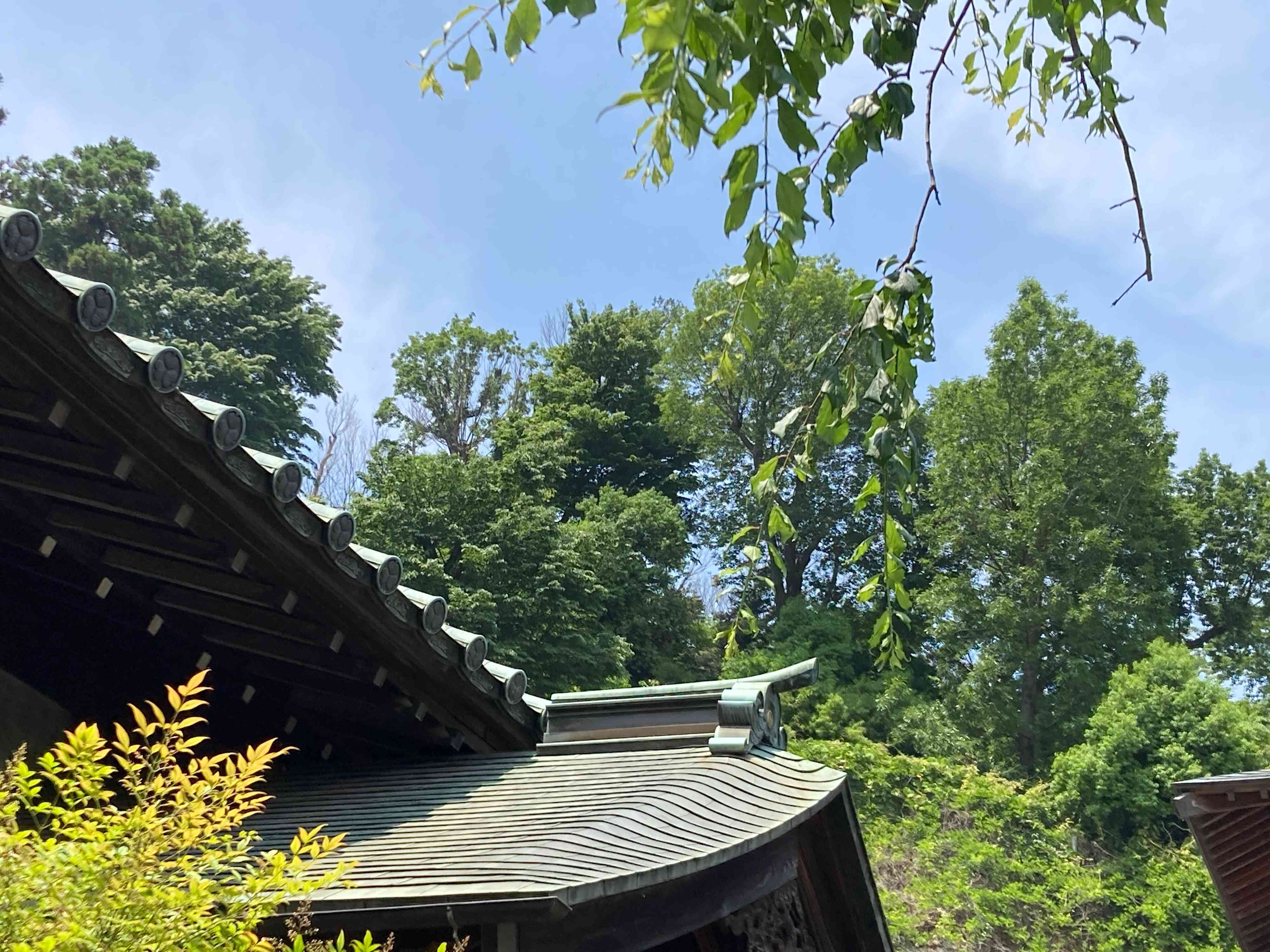 寺を見上げると思い出す……図工の先生の一言による気づきとは