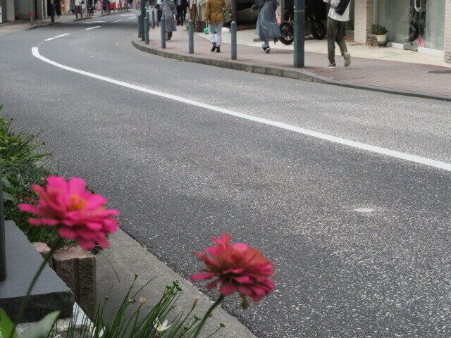 食費を減らして地域を応援！地元の店を活用してみよう