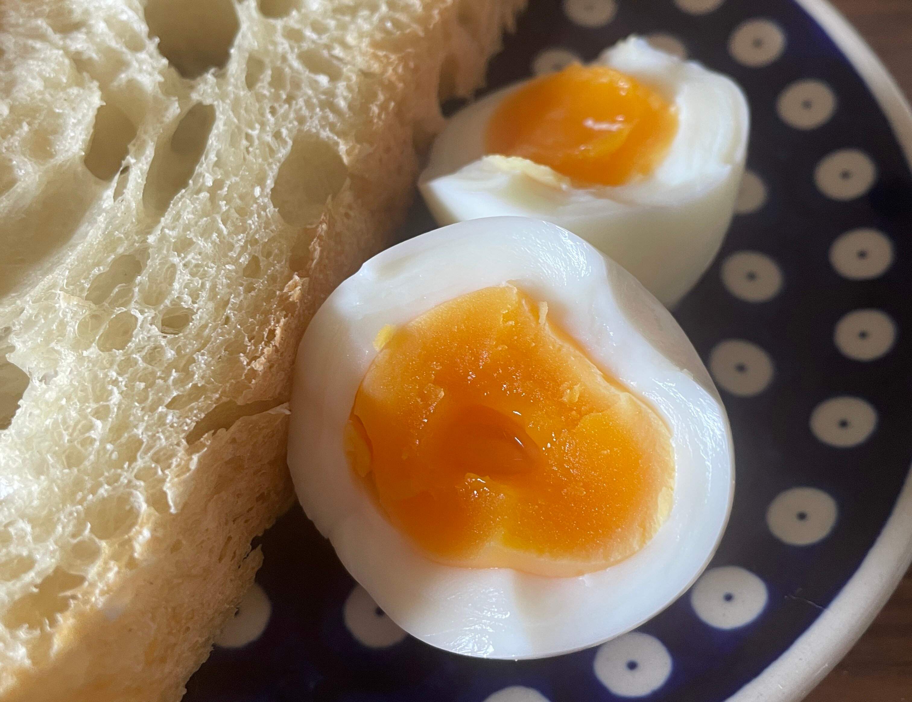 元養鶏場の娘が教える！「ちょ～どいいゆでたまご」のつくりかた