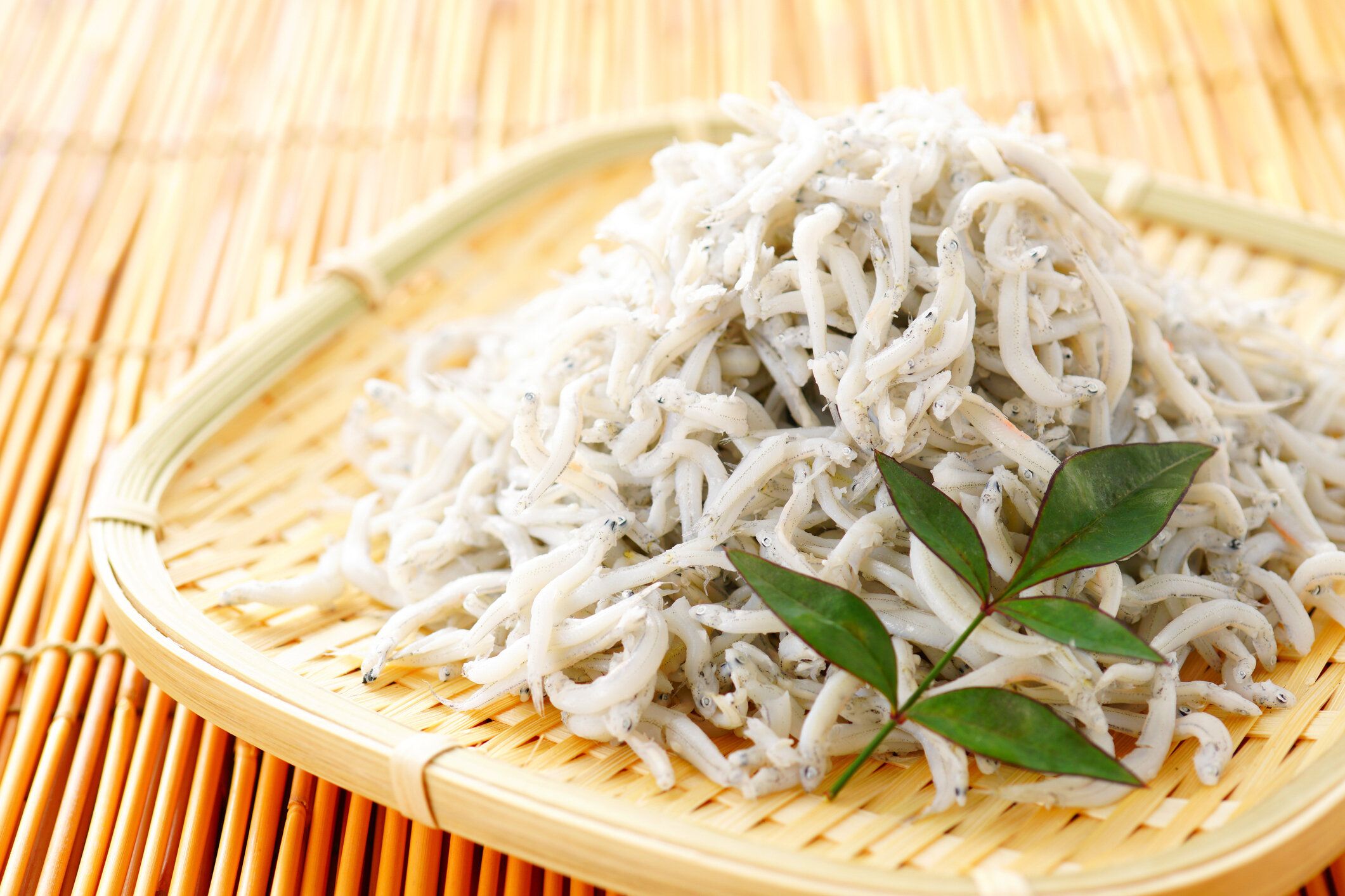 「しらす」の冷凍方法は？上手な保存のコツやおいしい活用レシピを紹介