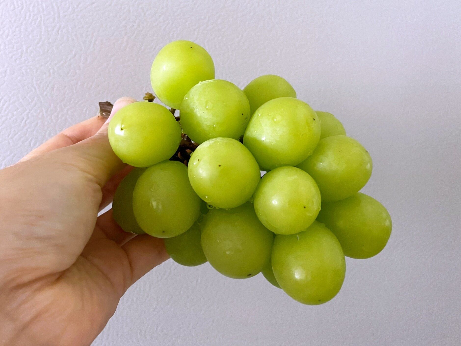 フルーツのプロが教える！旬のぶどうを長持ちさせる保存のコツ