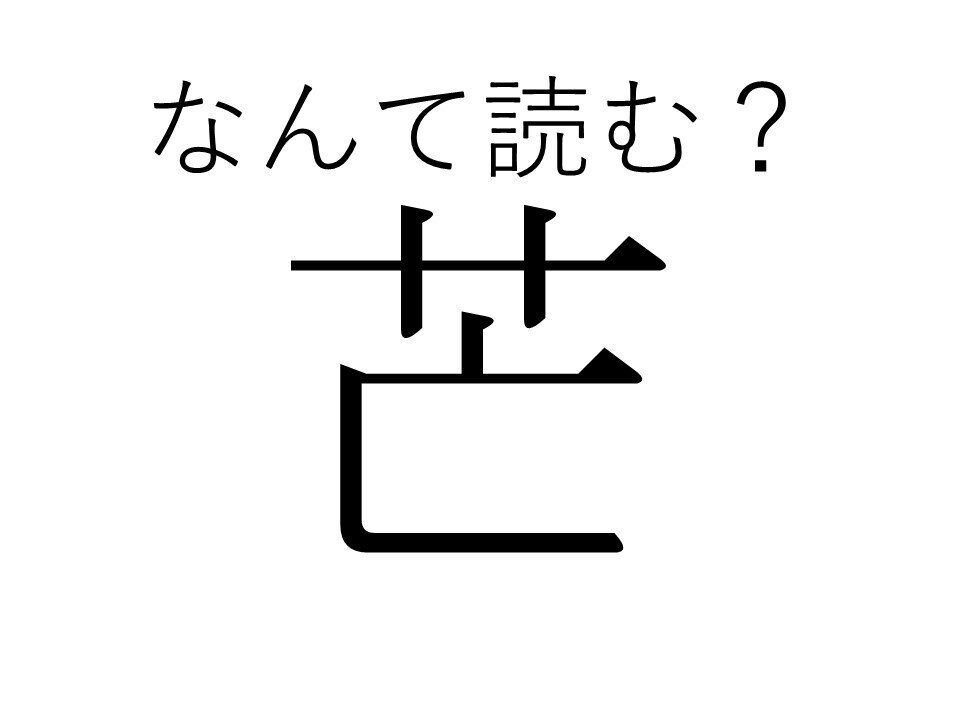 日本で生まれた意味がある！風流な姿が人気の「芒」はなんて読む？