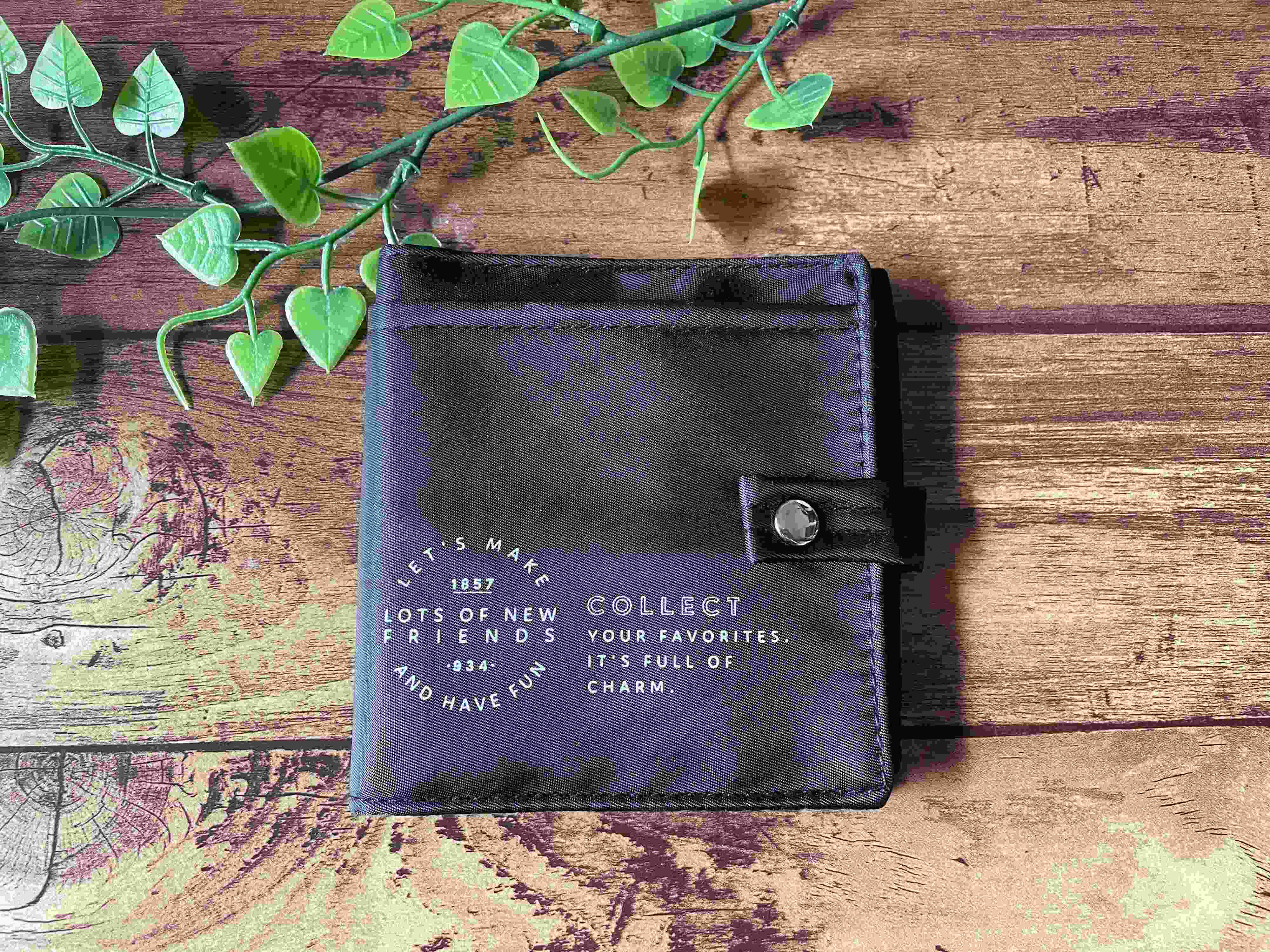 【イルーシー300】こんなの欲しかった！マスクとティッシュが一緒に持ち歩けるコンパクトケース