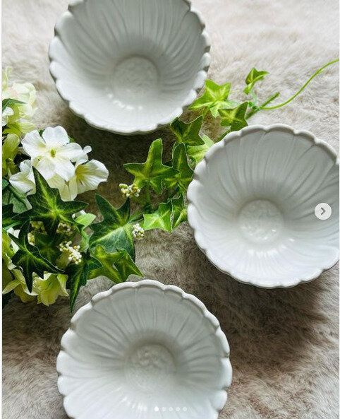 もうダサイなんて言わせない！【ダイソー】「一目惚れした」「人気間違いなし」Instagrammer大注目の高見え食器7選