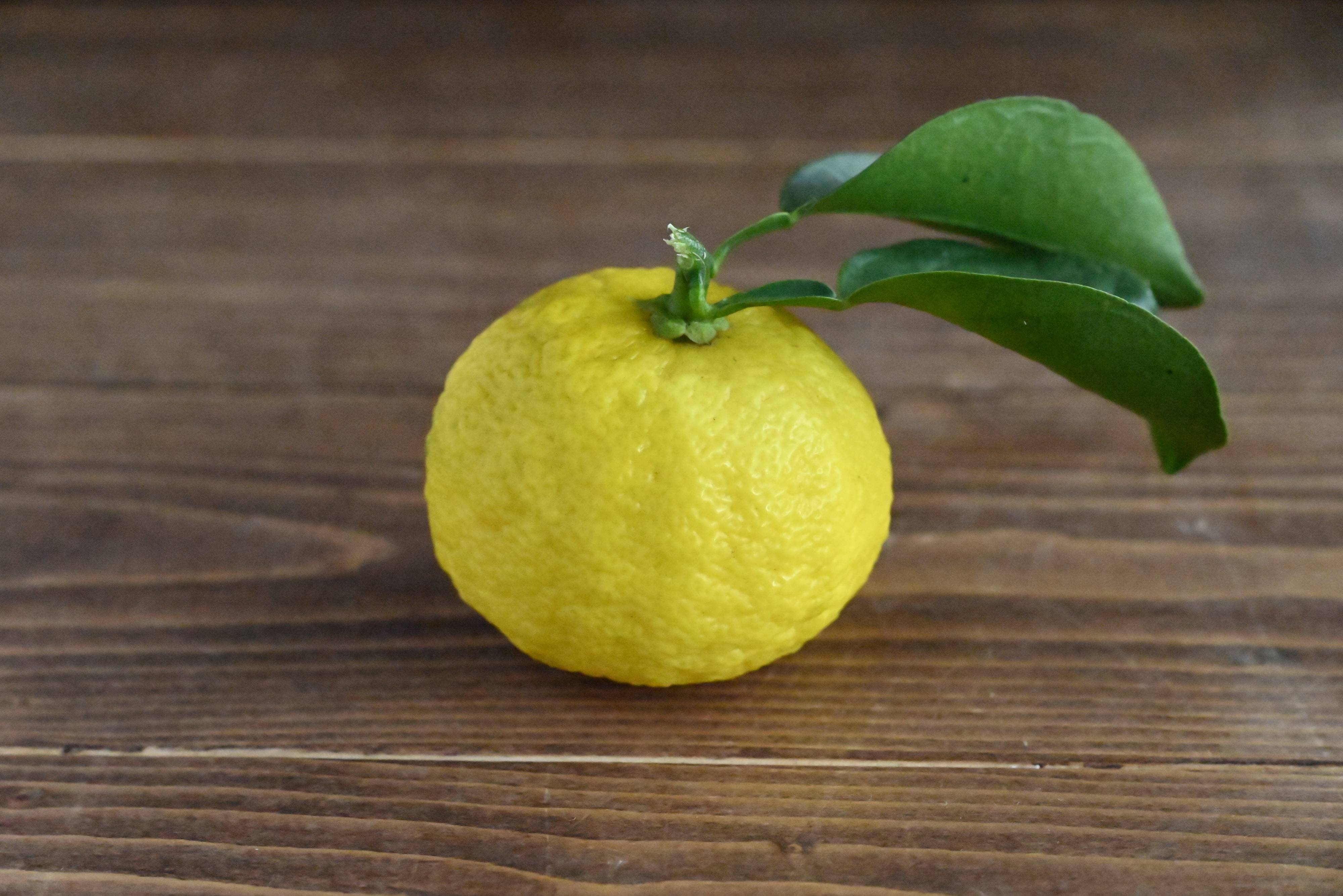 【旬食材】ゆずが微妙に余る…そんなときの救世主♪ゆずを使う主食＆副菜レシピ3選