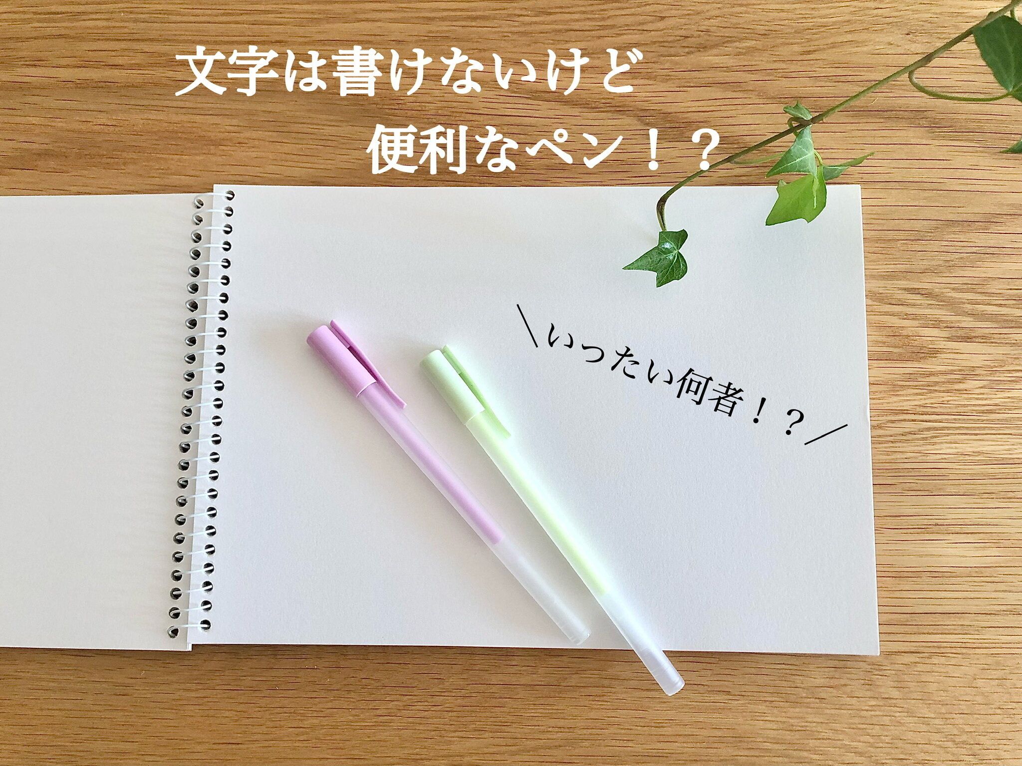 【セリア】文字は書けないけど便利なペン!?いったい何者？