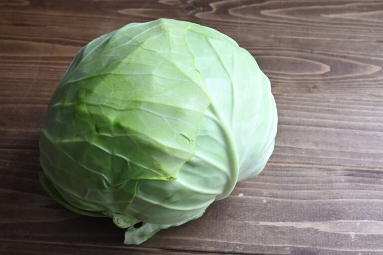 【旬食材】キャベツ1玉を無理なく食べ切れる！キャベツを使う簡単レシピ3選