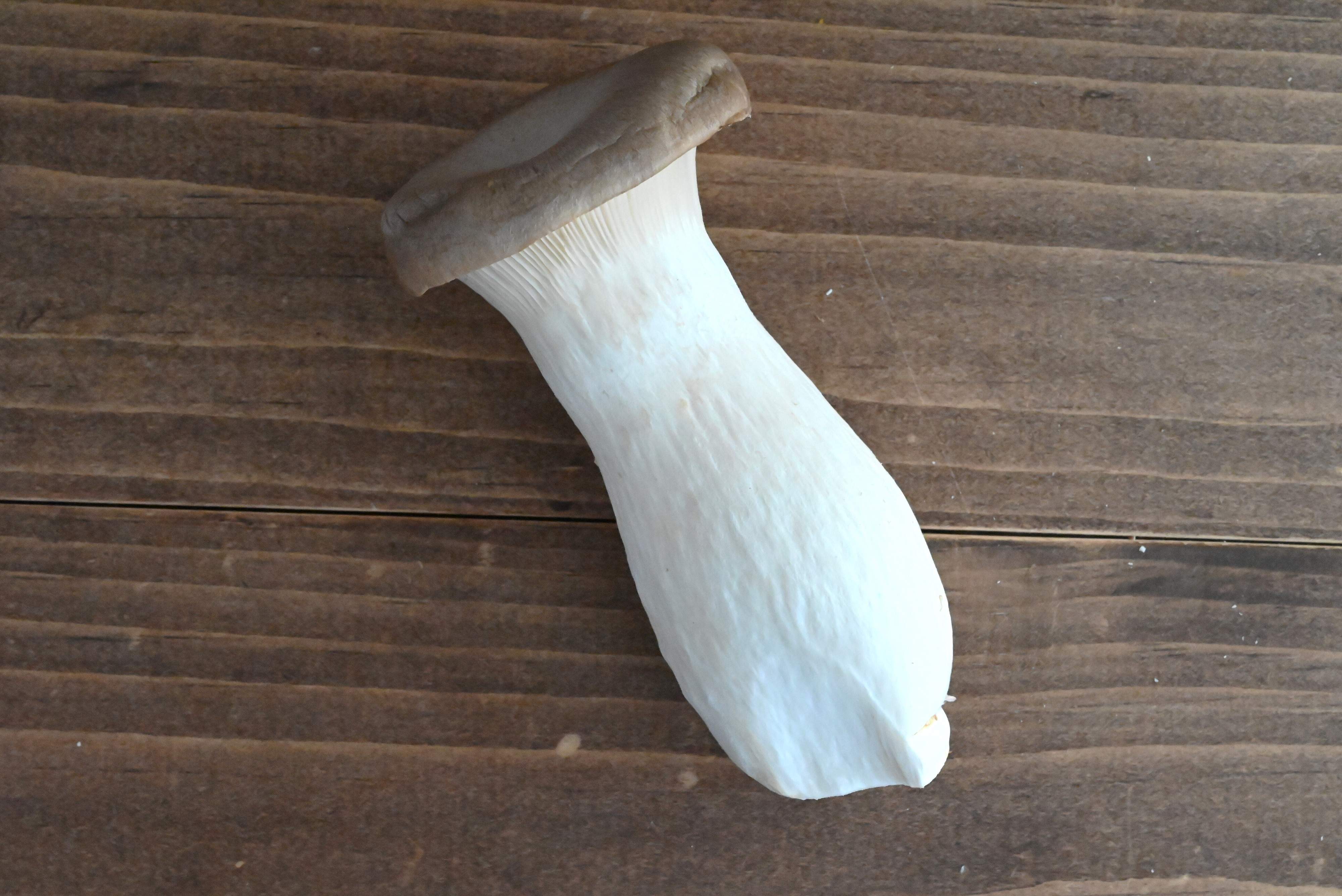 エリンギは冷凍保存が便利！おいしくなる＆時短につながる！＆冷凍エリンギを使う超簡単レシピ