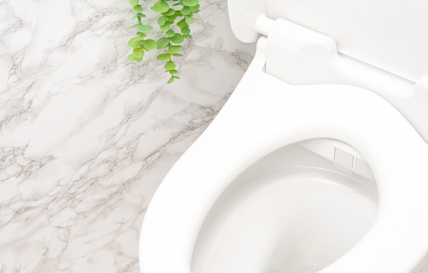 トイレの「ウォシュレット（温水洗浄便座）」の掃除方法とは？頻度やクエン酸を使用した方法も紹介