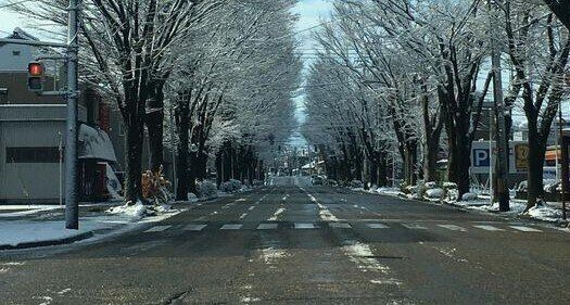 【電気代高騰】に負けない！雪国在住ライターお勧めの防寒対策アイテム５選